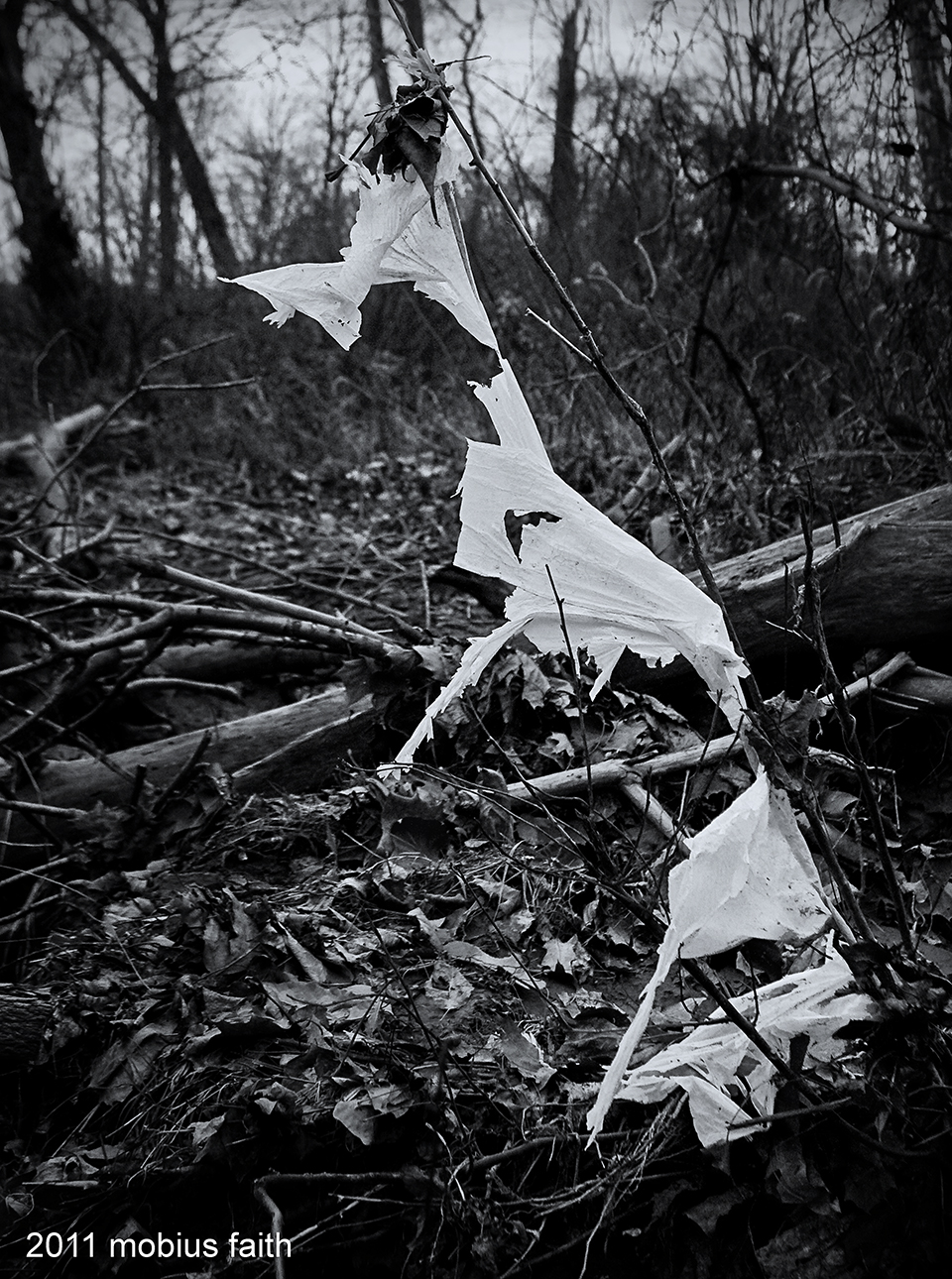 prayer flags of consumerism #2 alt wm sm