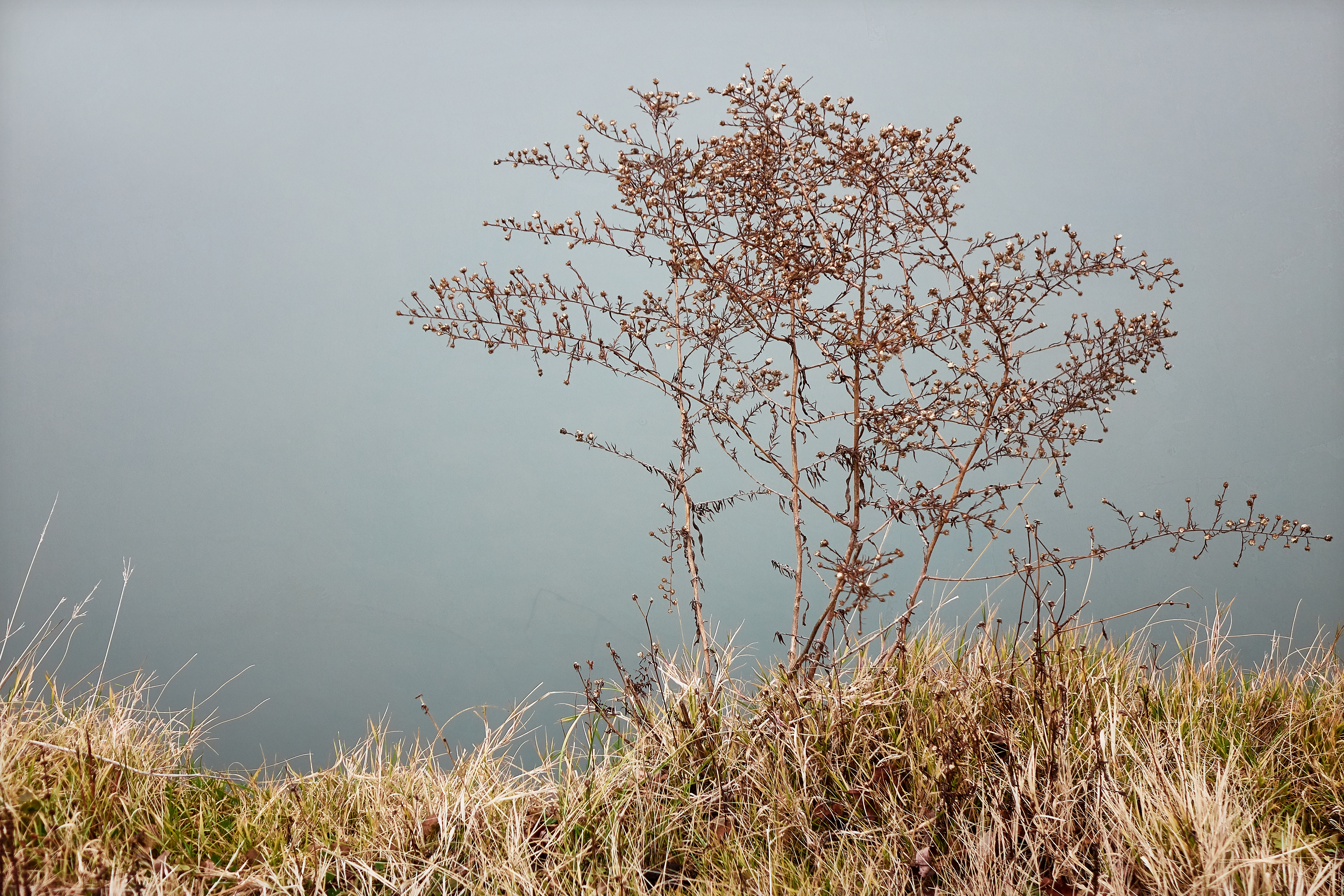 kendall-lake-edge-2-smlr