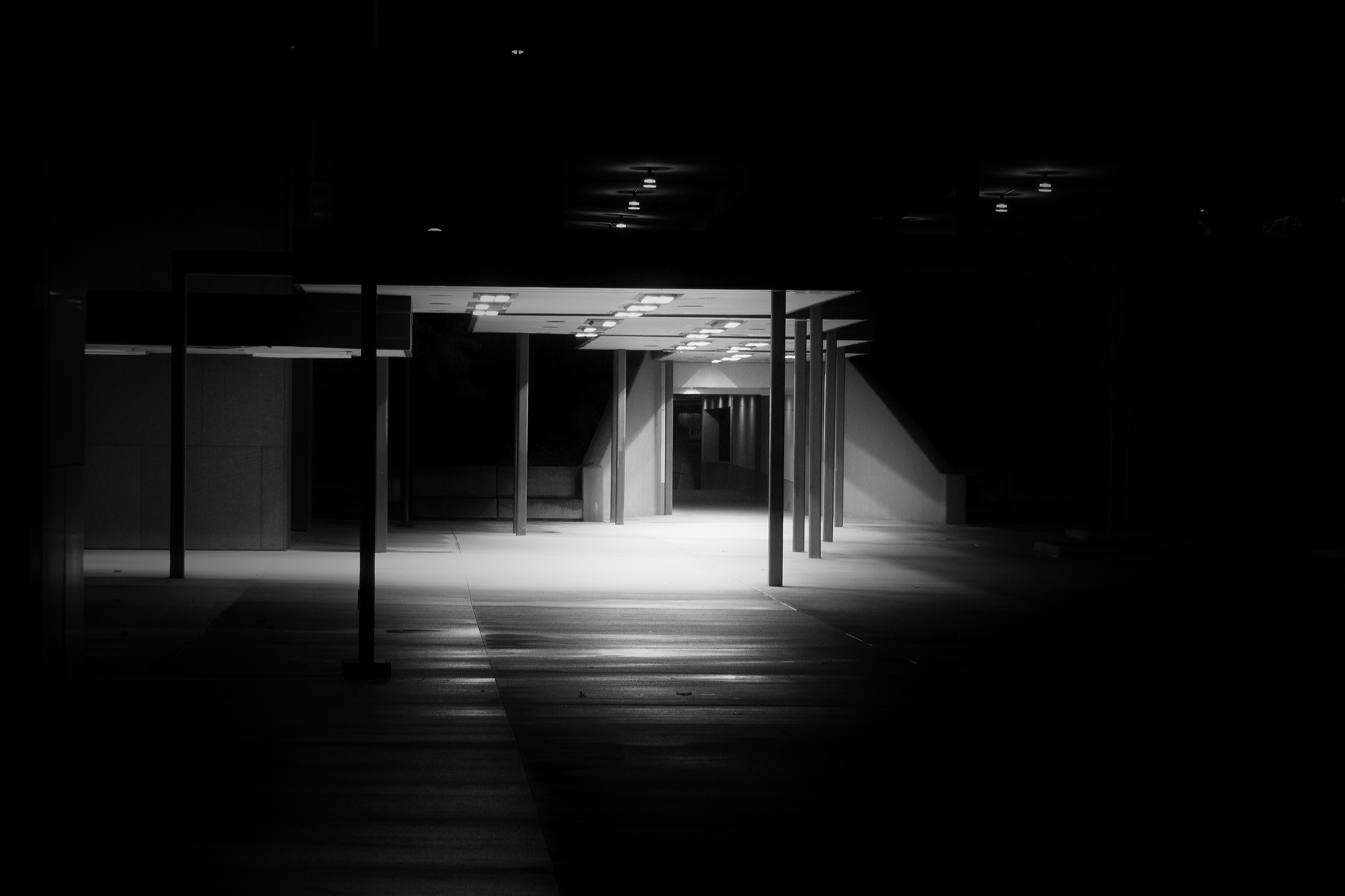 the-entrance-2010-re-edit-evn-smlr