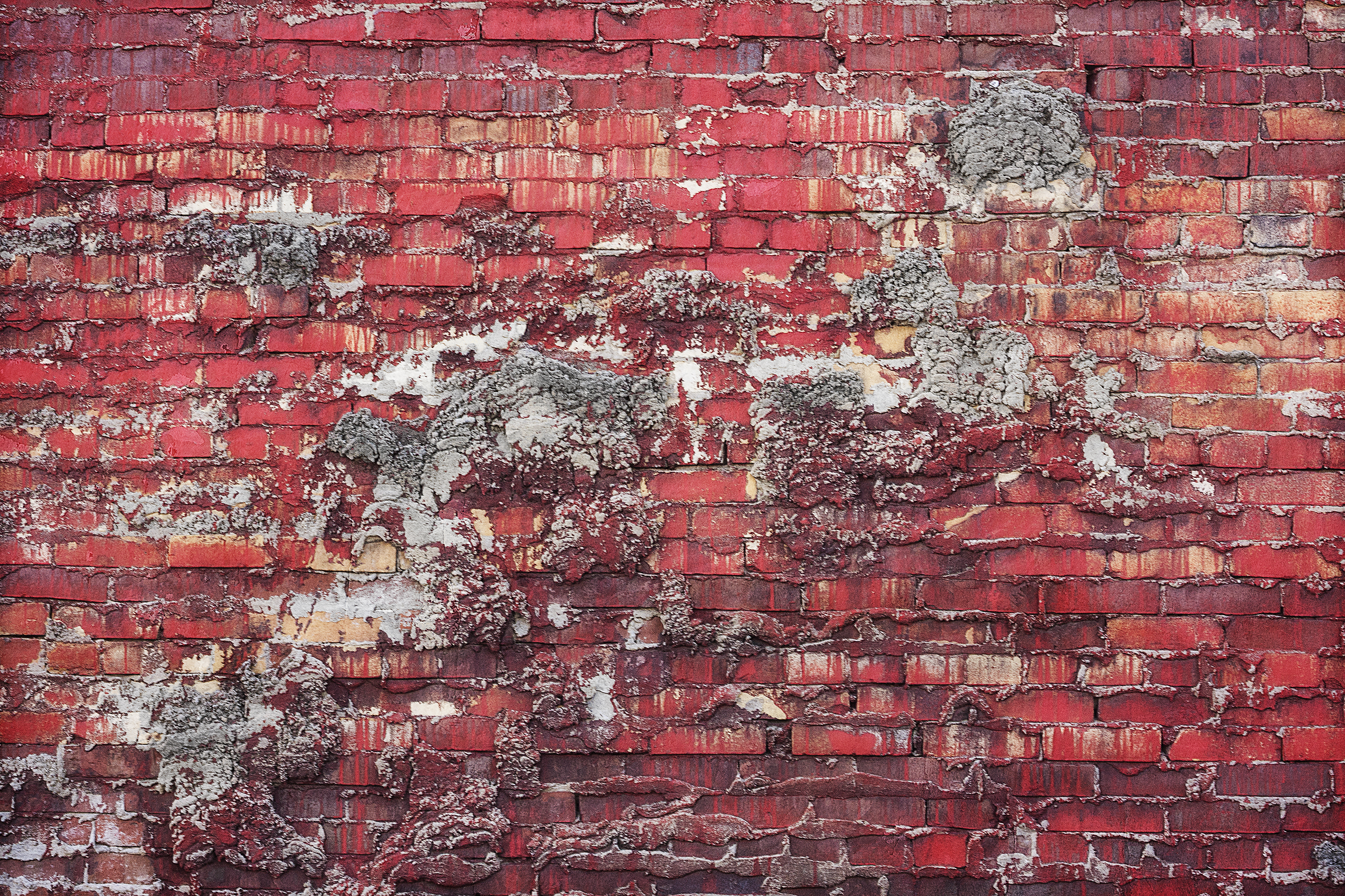 2012 Syria's Blood Soaked Walls