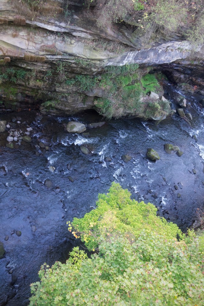 River Runs Through It