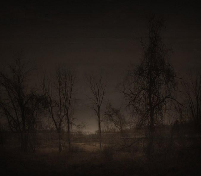 Dark Expectations II