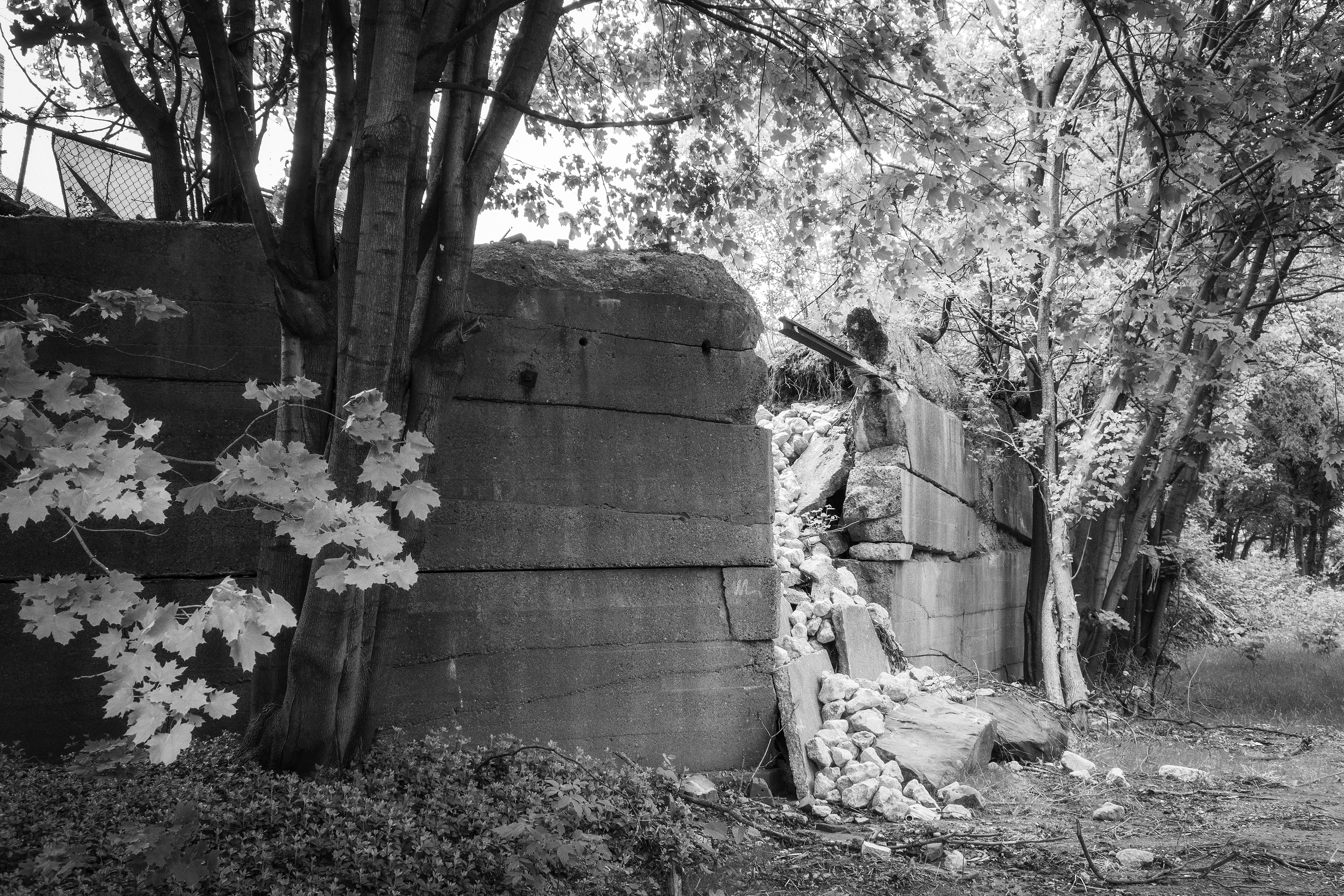 And The Walls Fell Down