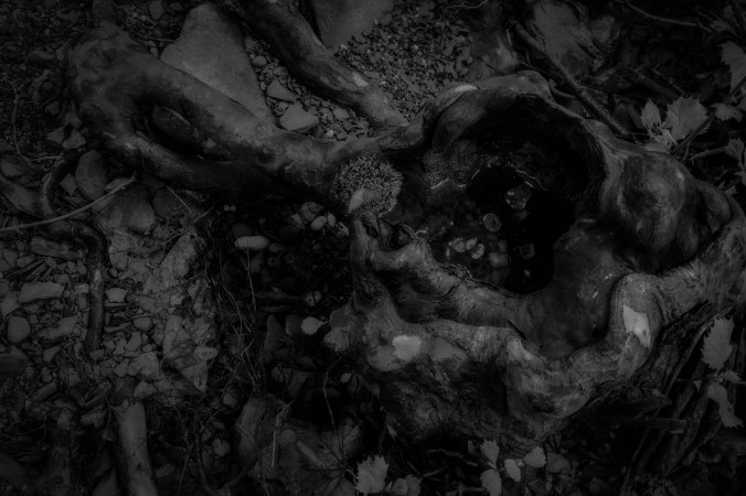 Collecting The Tears of Allah