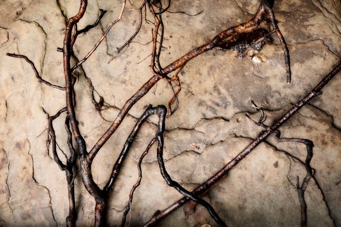 Roots On Rock