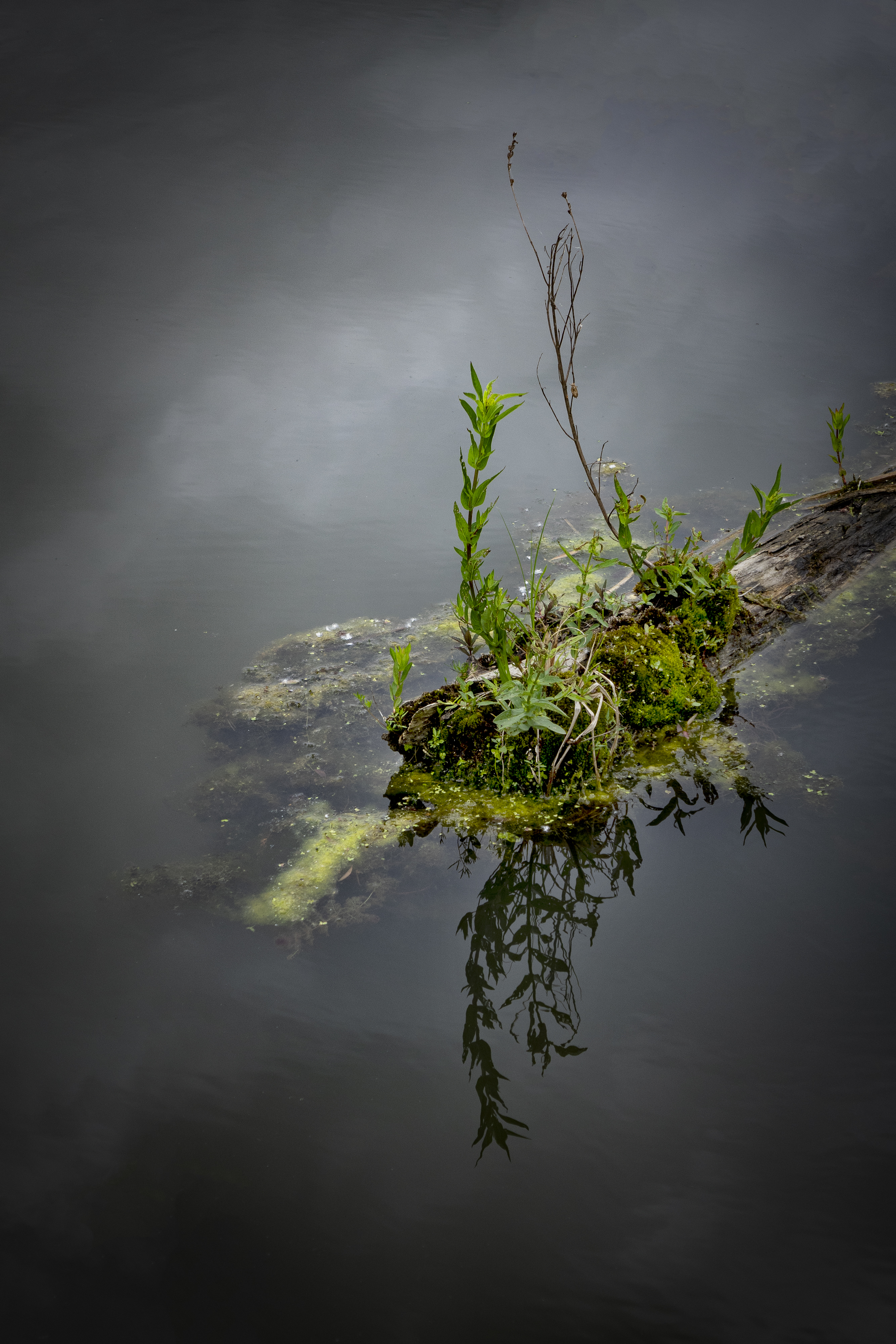 Islands In The Stream