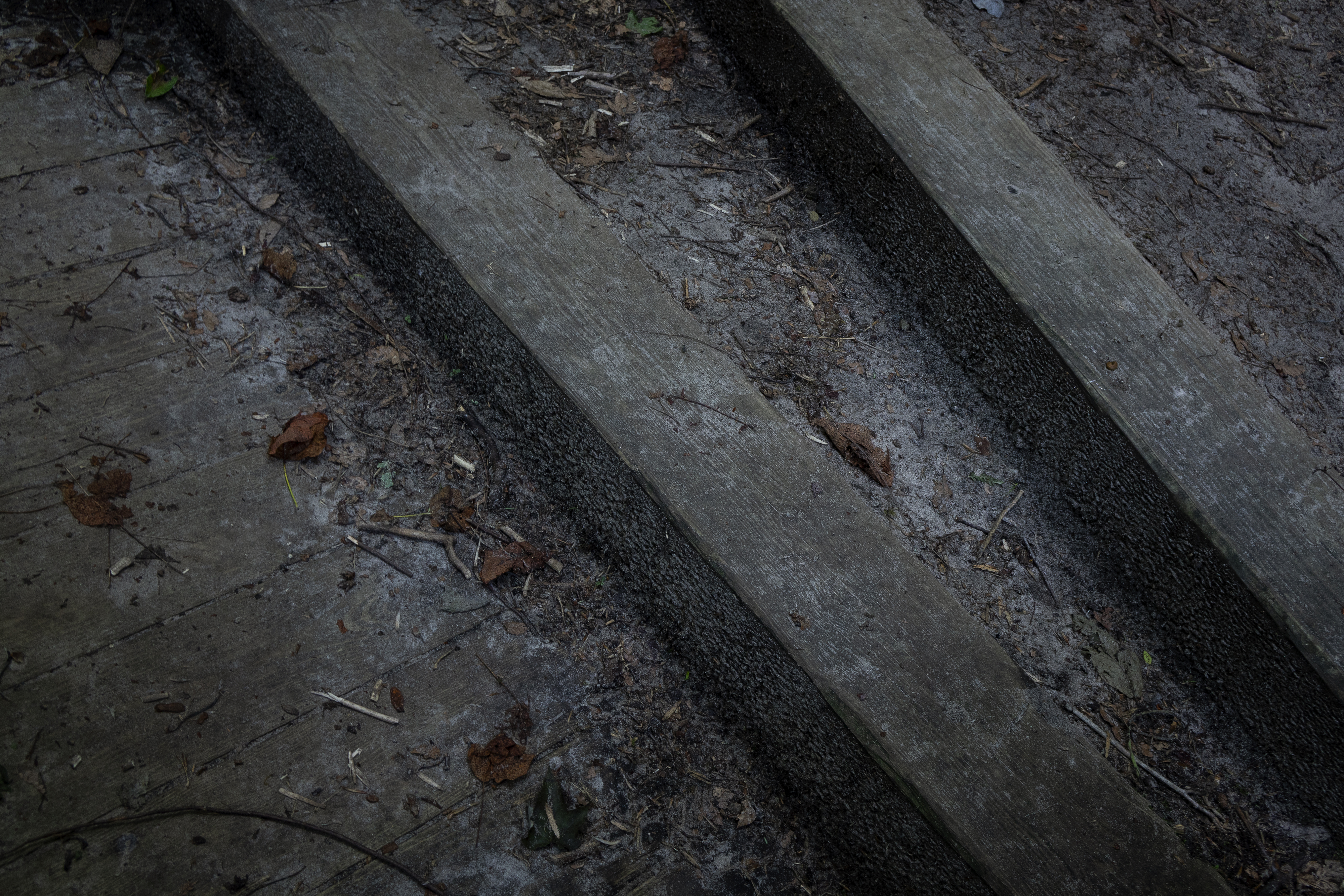 Stepping Up &amp; Stepping Out