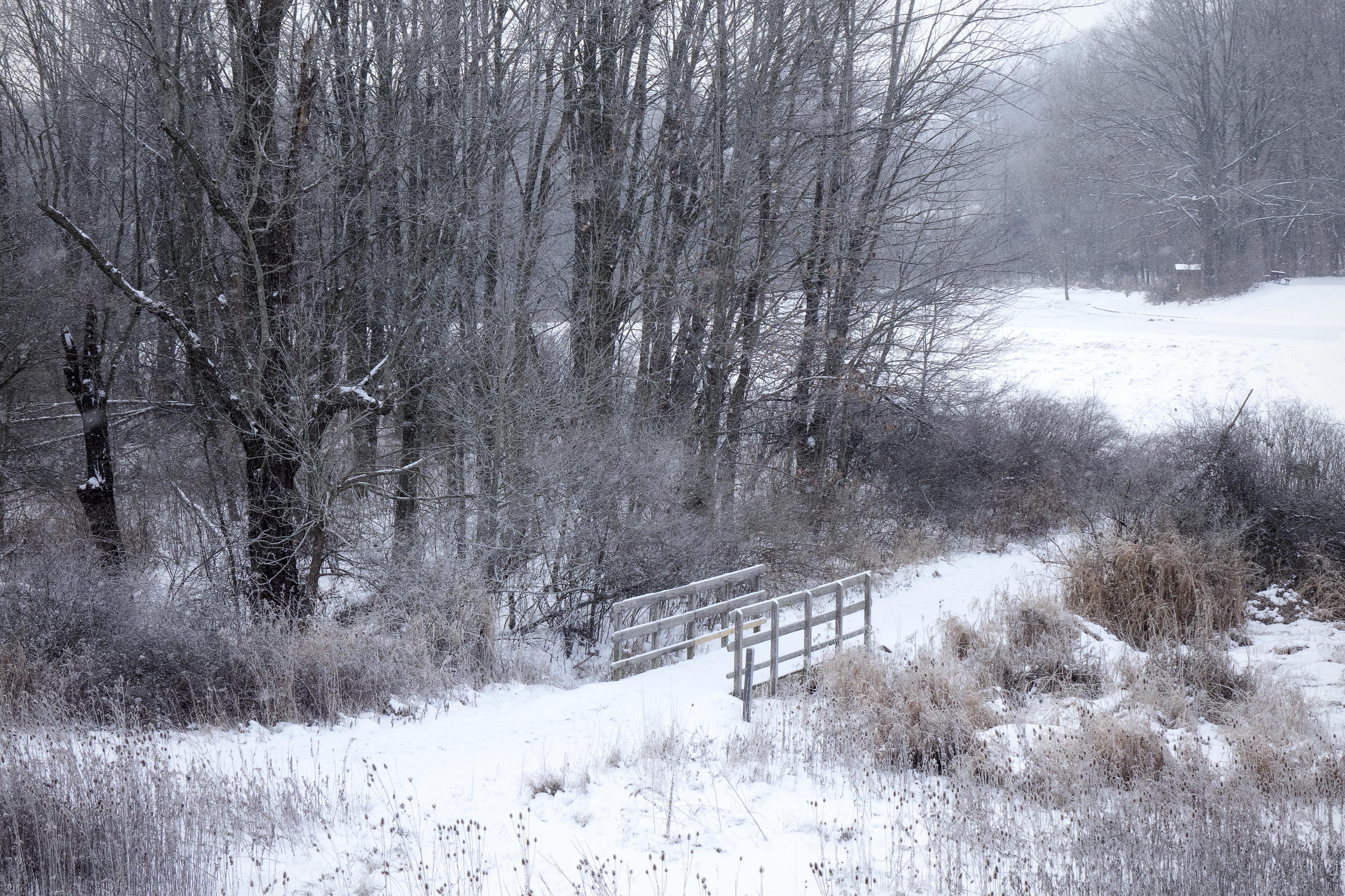 Crossing Silver Creek