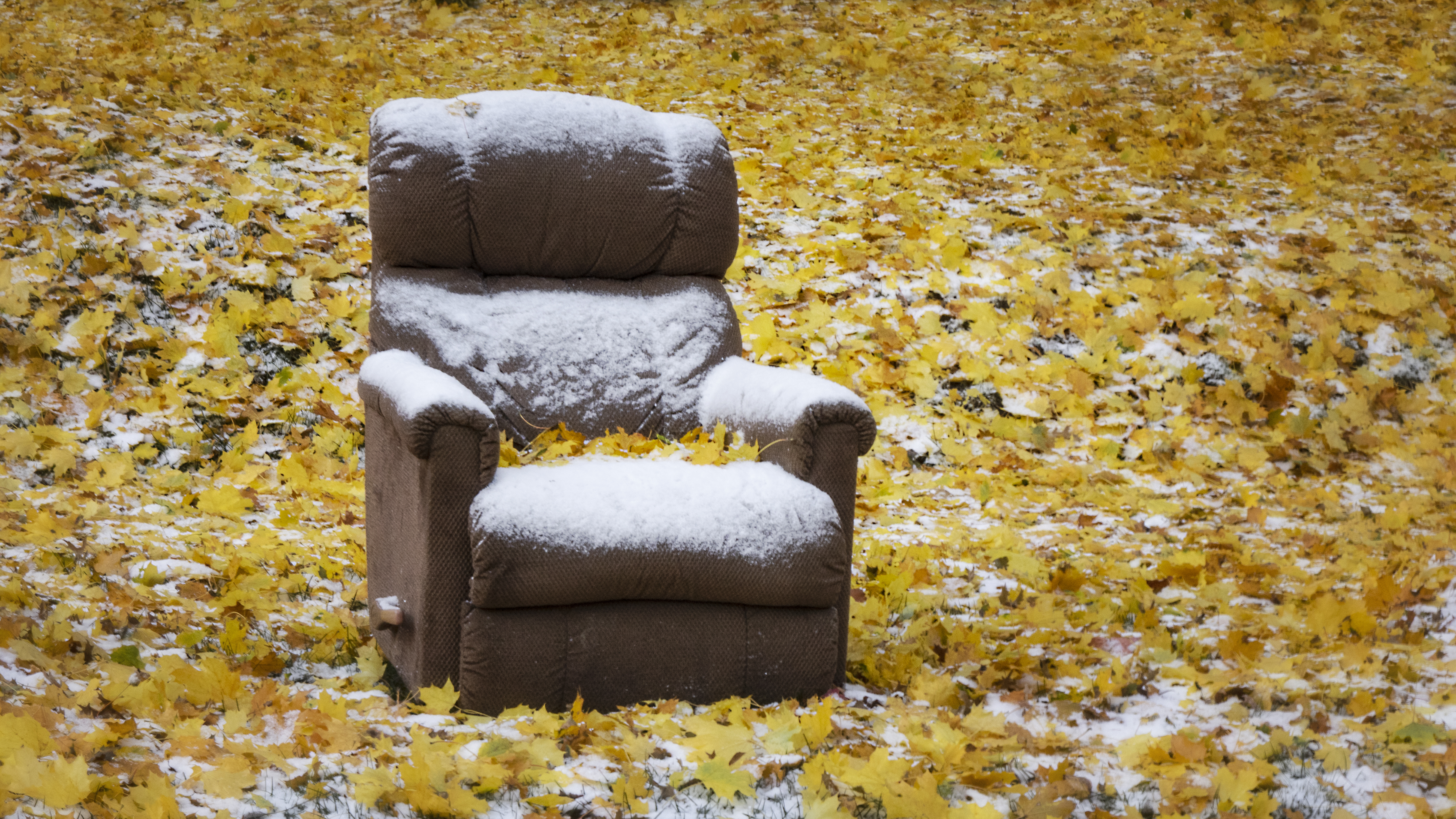 First Snow Immersive Experience