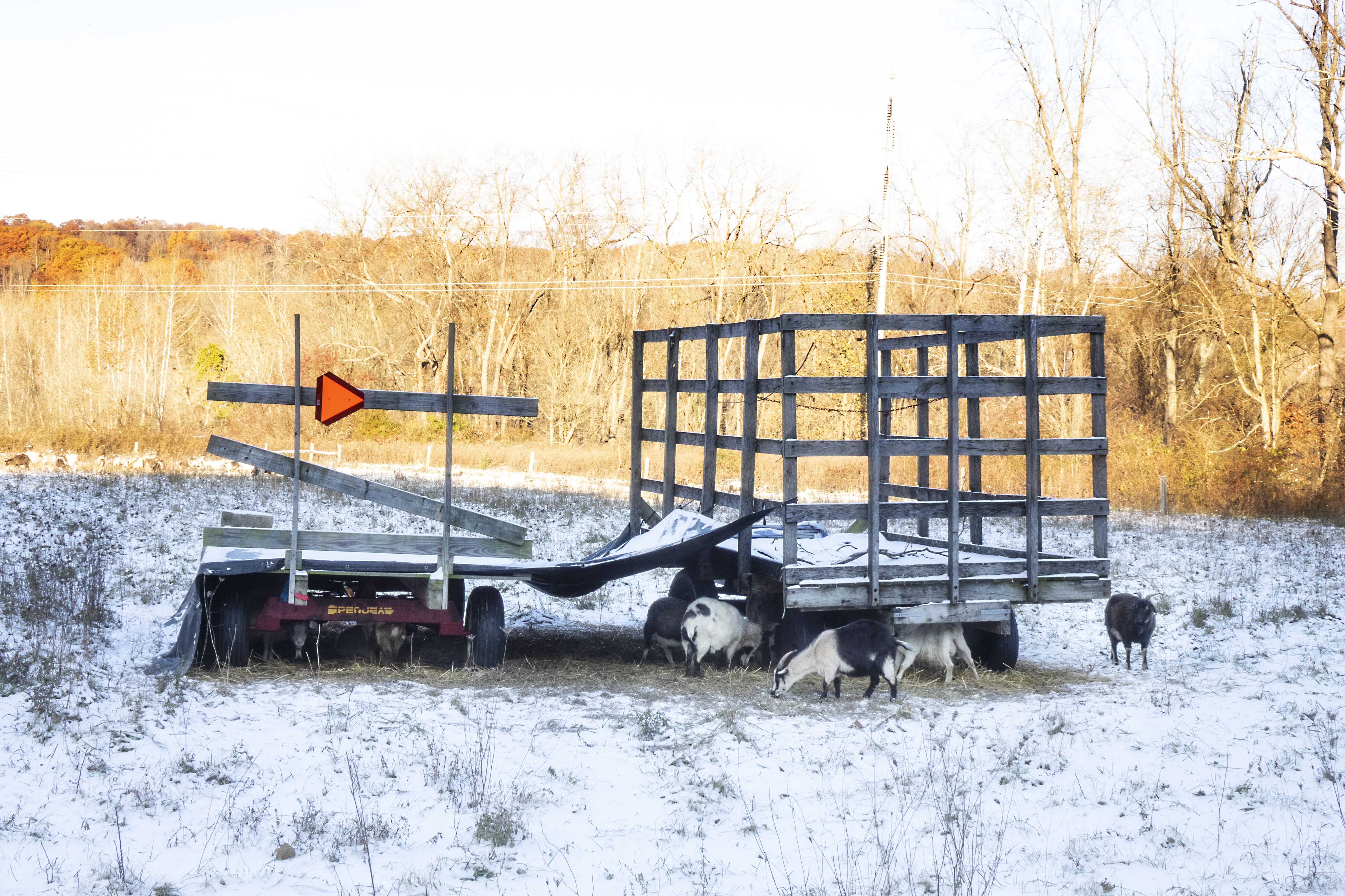 First Snow - The Kids Are Alright