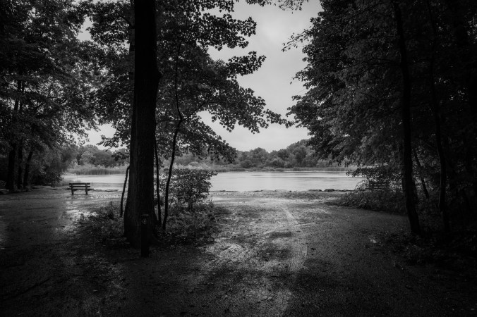 Late Summer Rain - Among The Trees