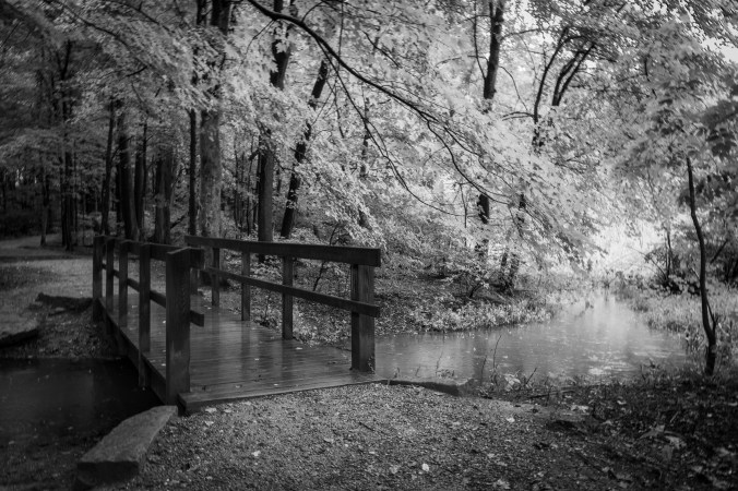 Late Summer - RainSoaked