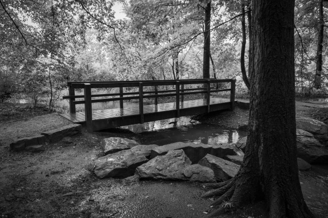 Late Summer - Wet Crossings