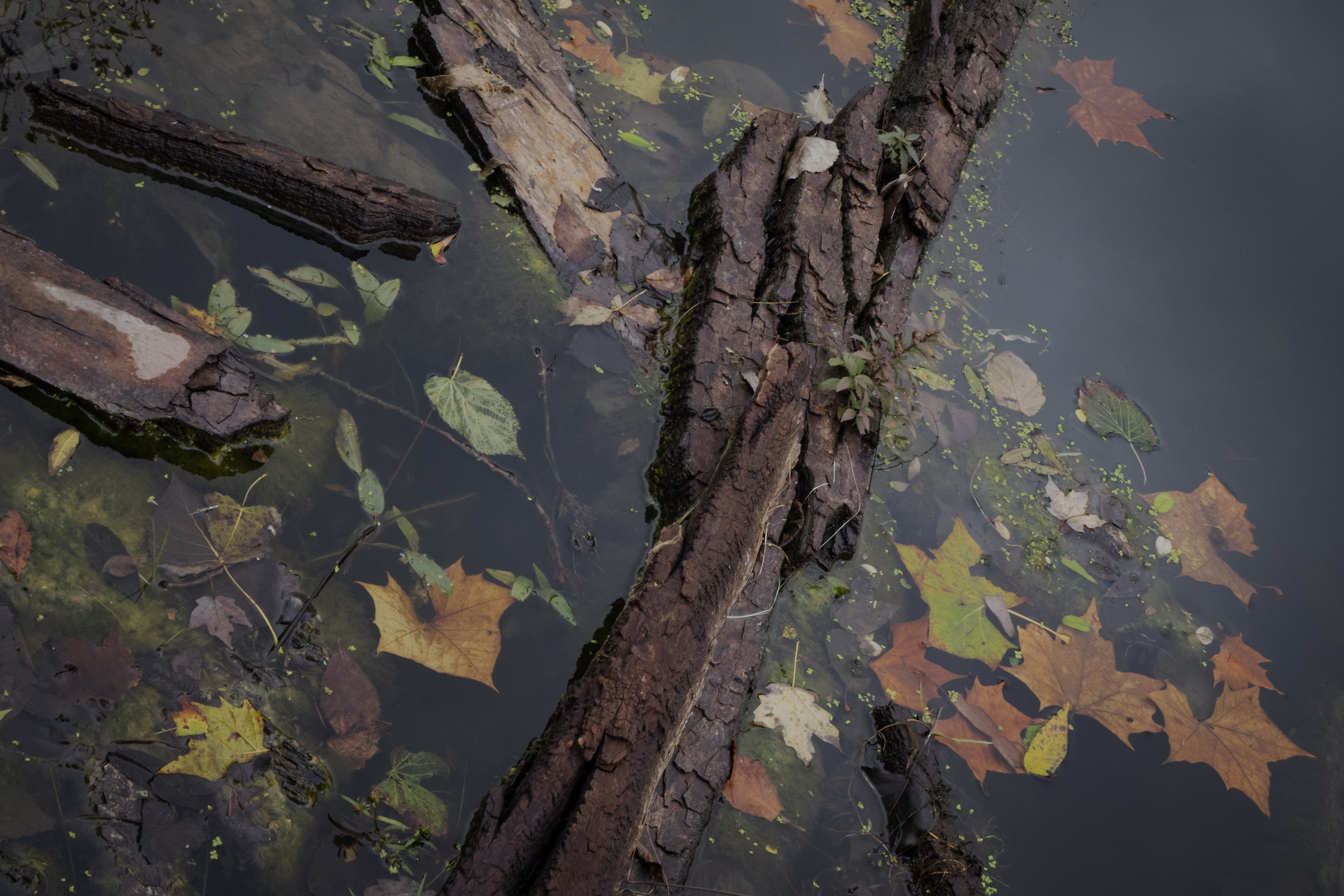 One Thing Matters - Nothing