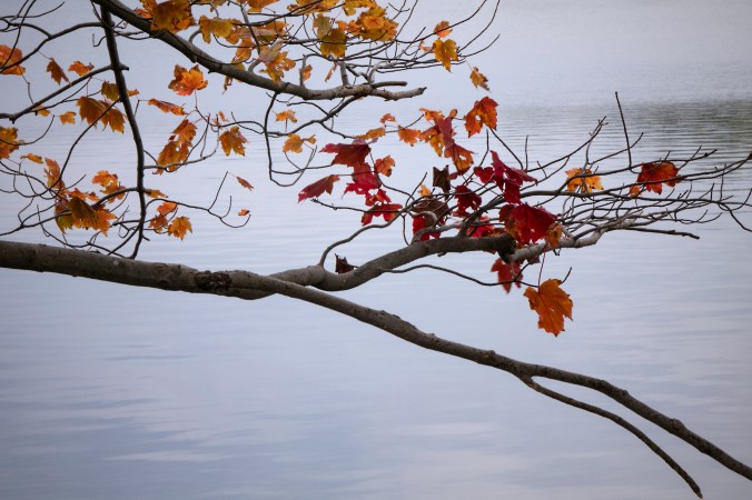 Orange Falls Into Red