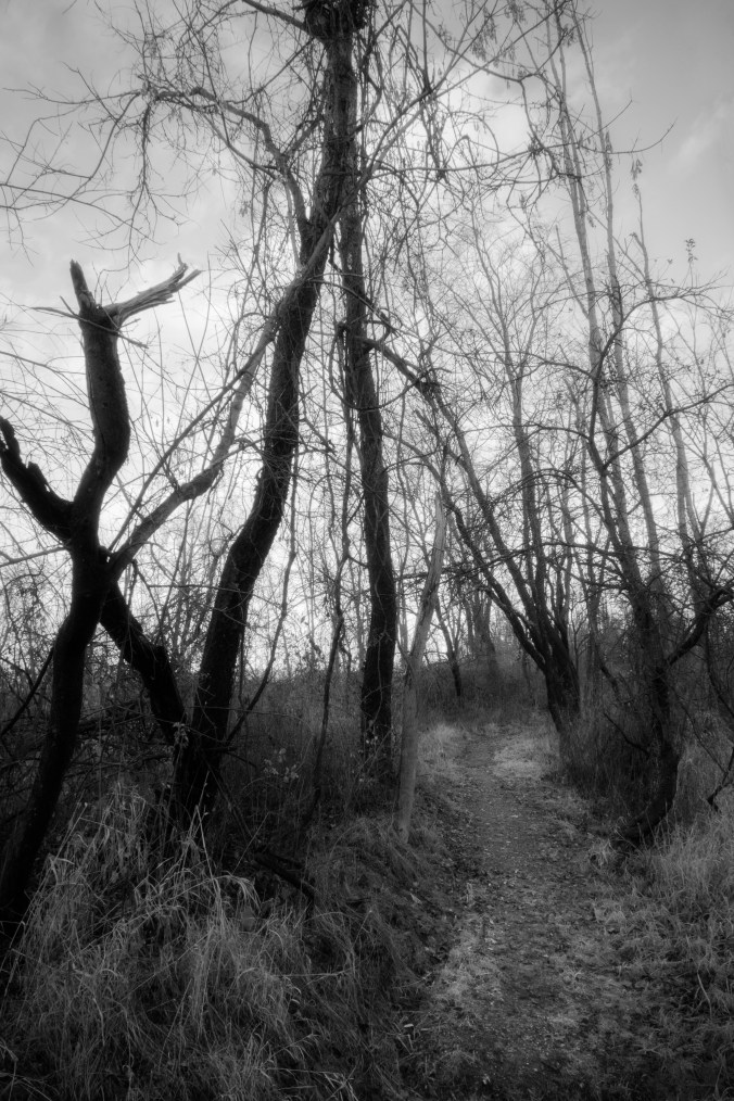 breadcrumbs and stars