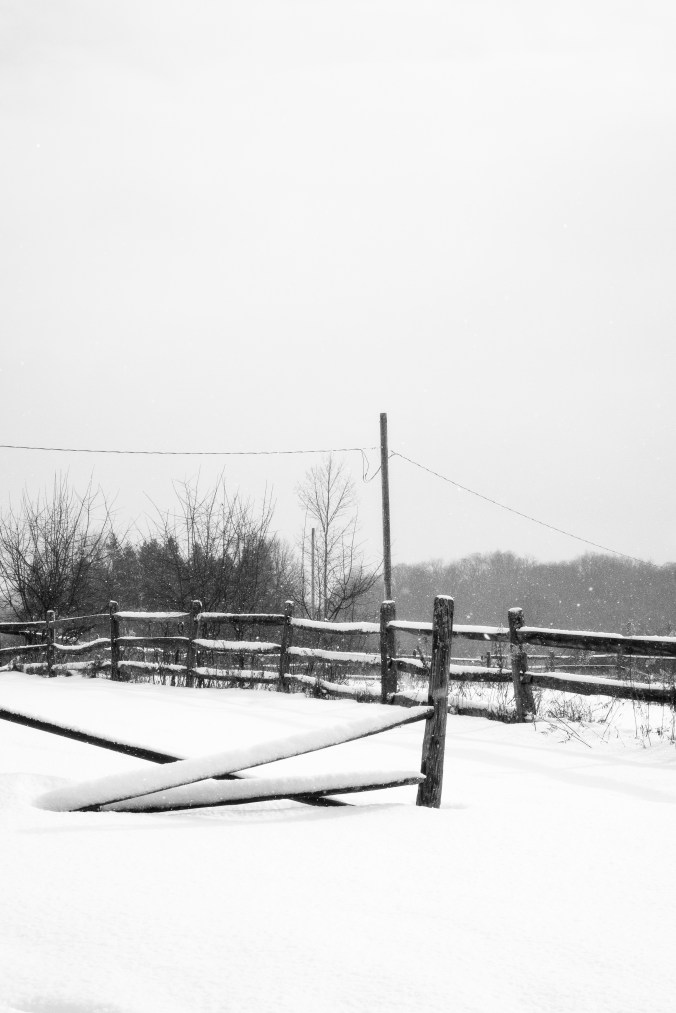 Snow On The Fence