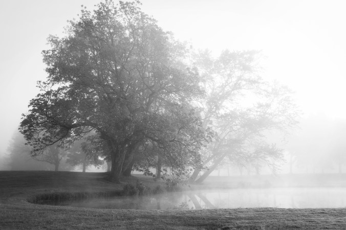 Links to the Pond smlr