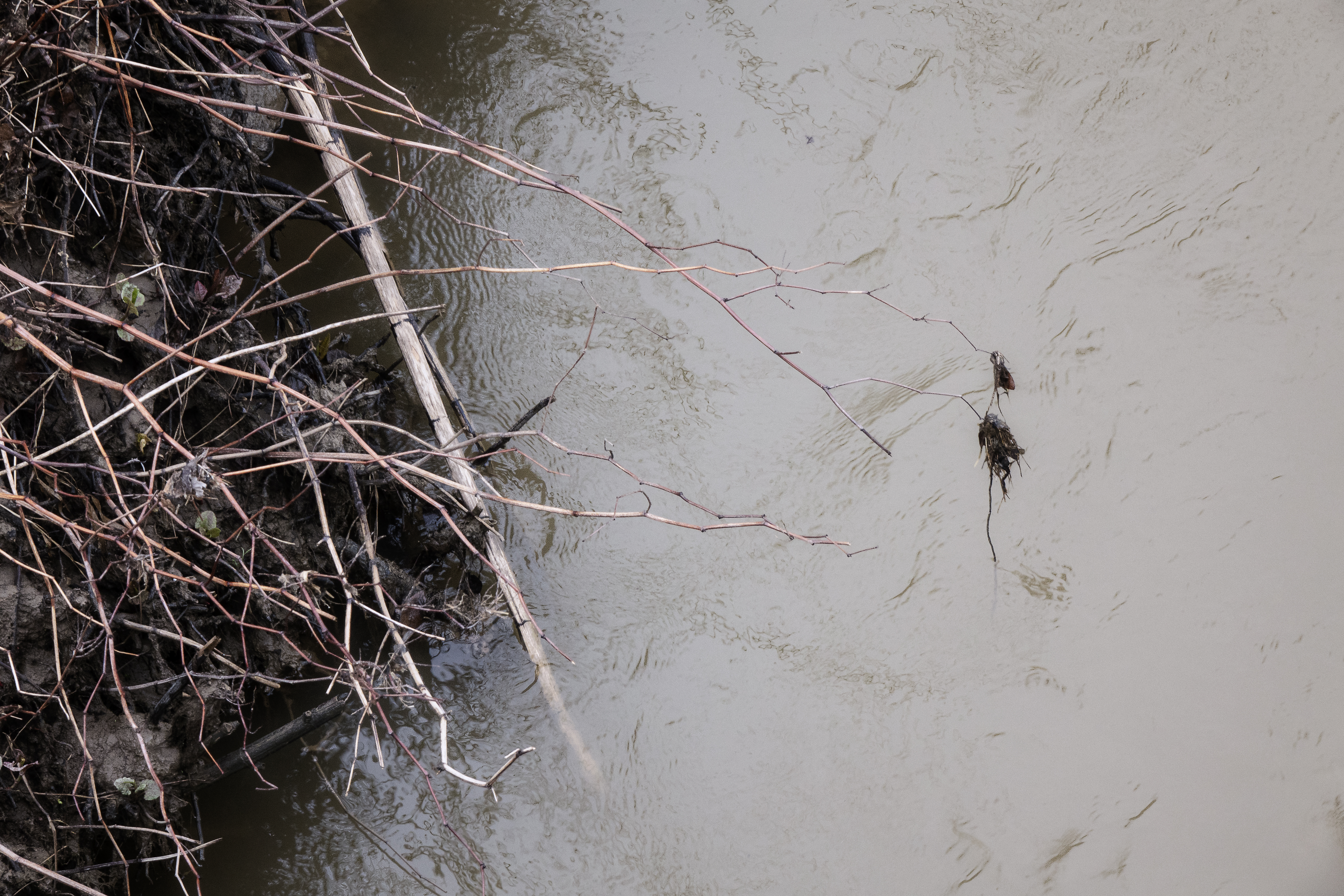 Somewhere Down The Crazy River