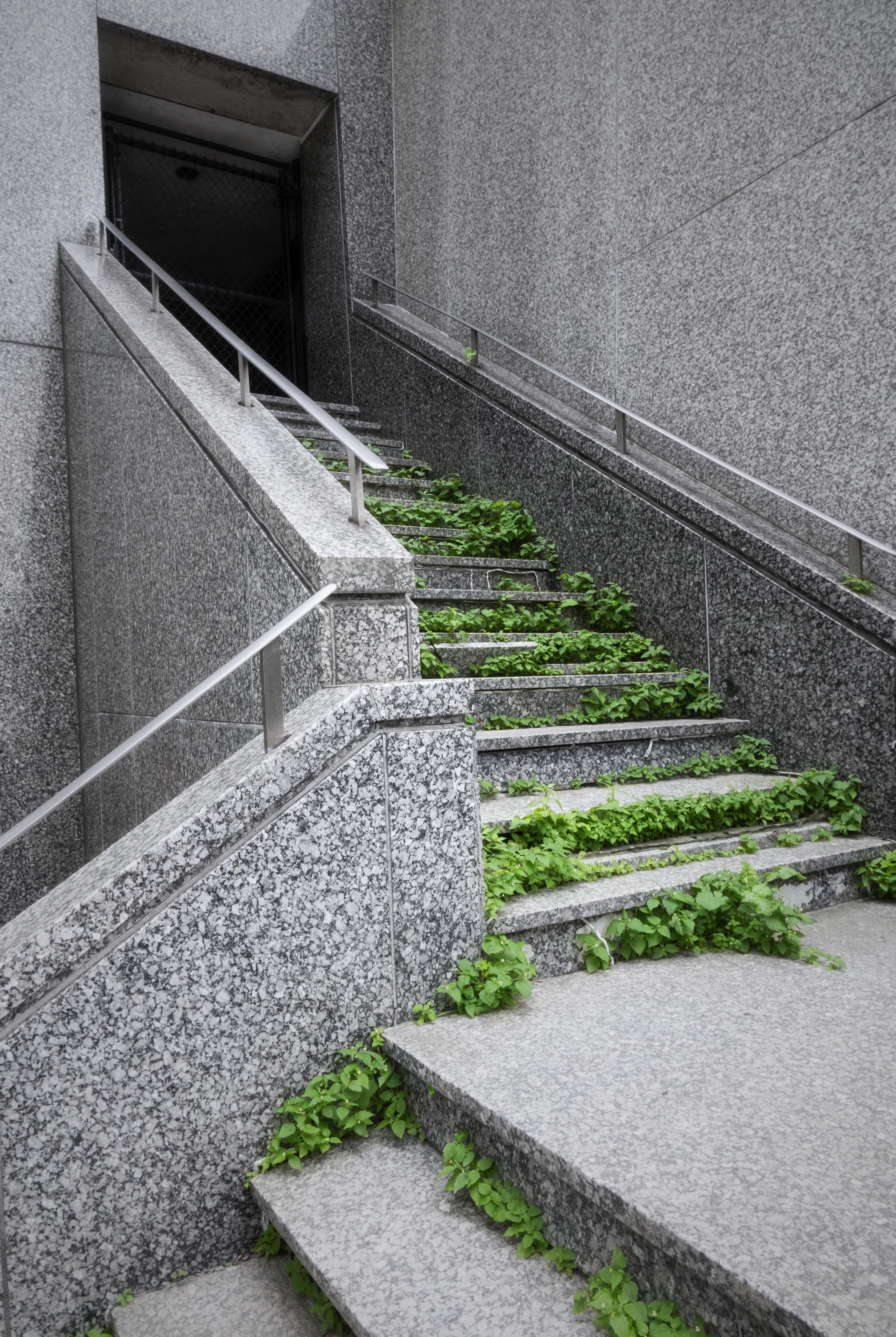 Up The Abandoned Stairway