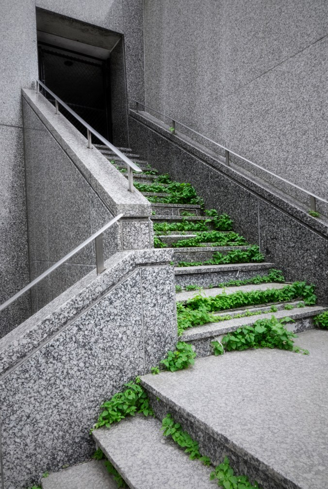 Up The Abandoned Stairway