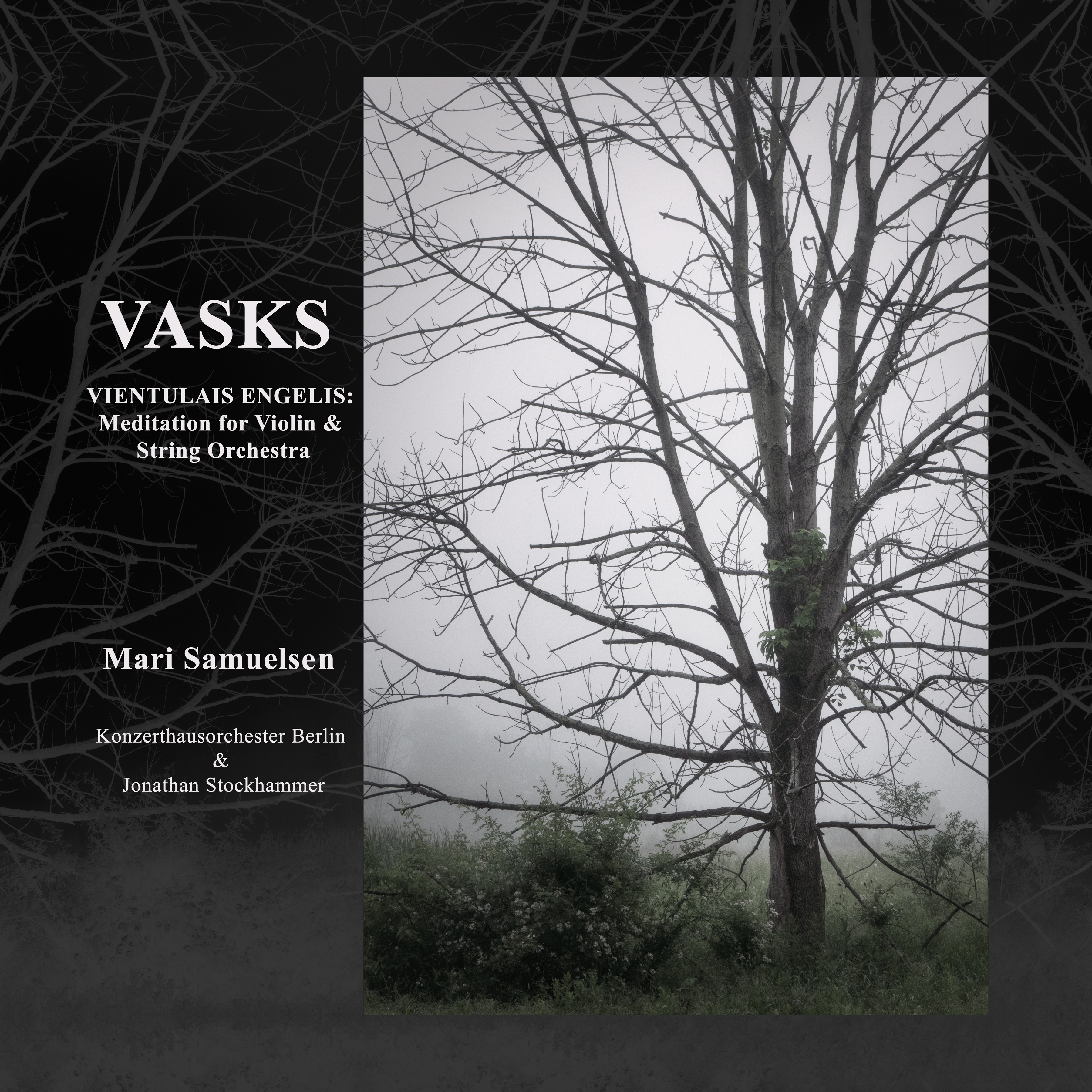 Vasks imaginary album cover