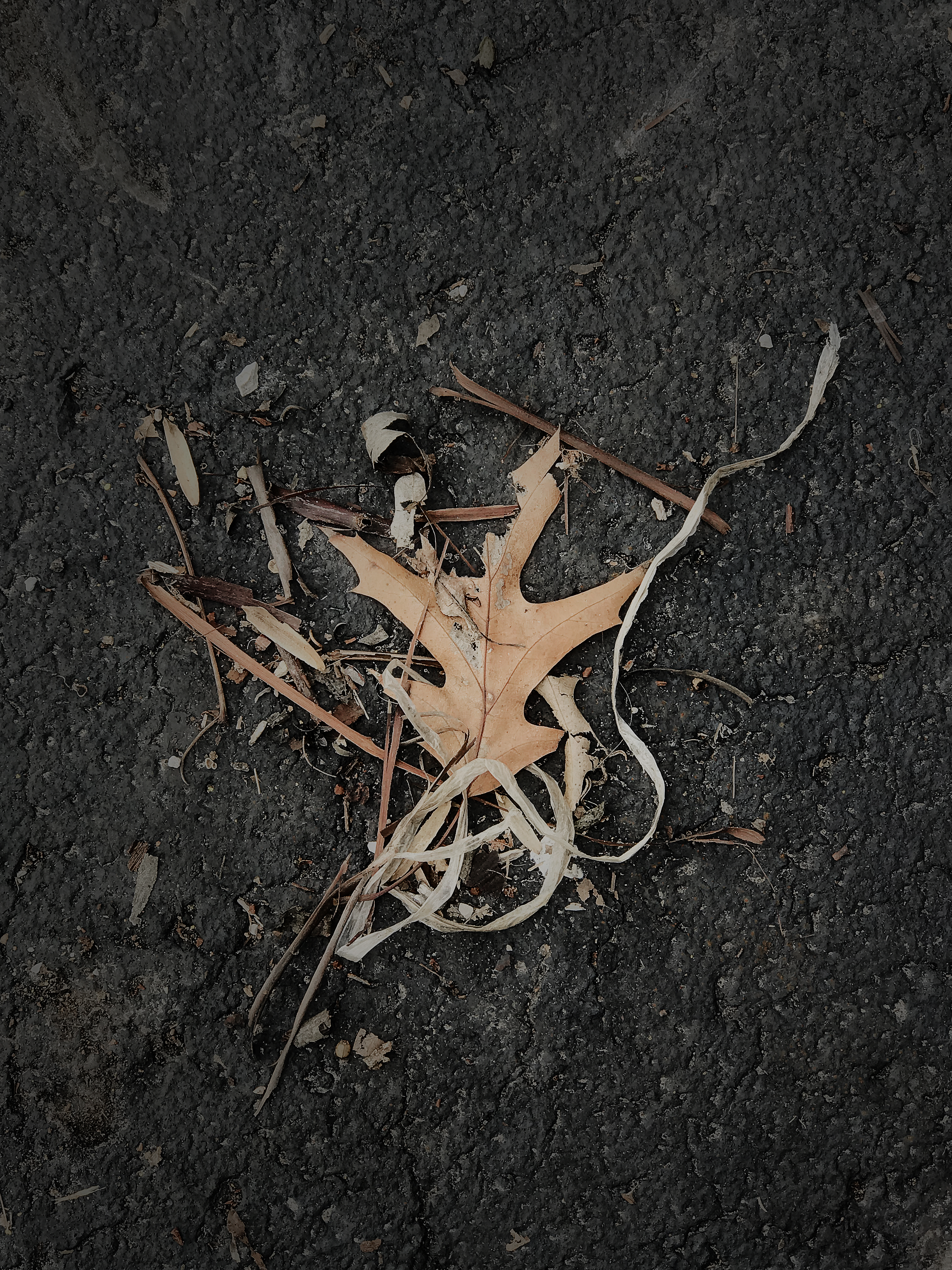 a-frayed arrangement