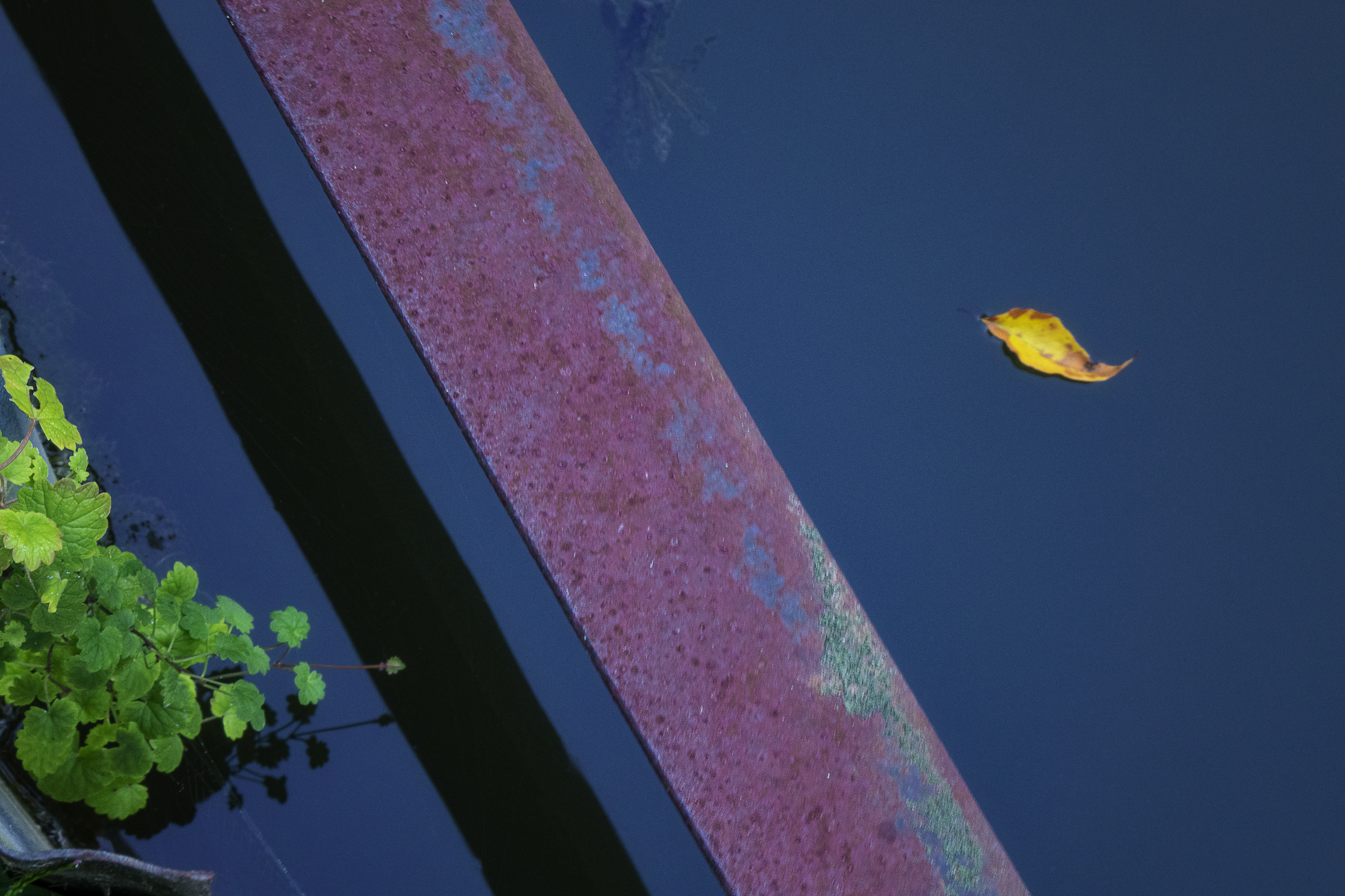 Rail Casts A dividing Shadow