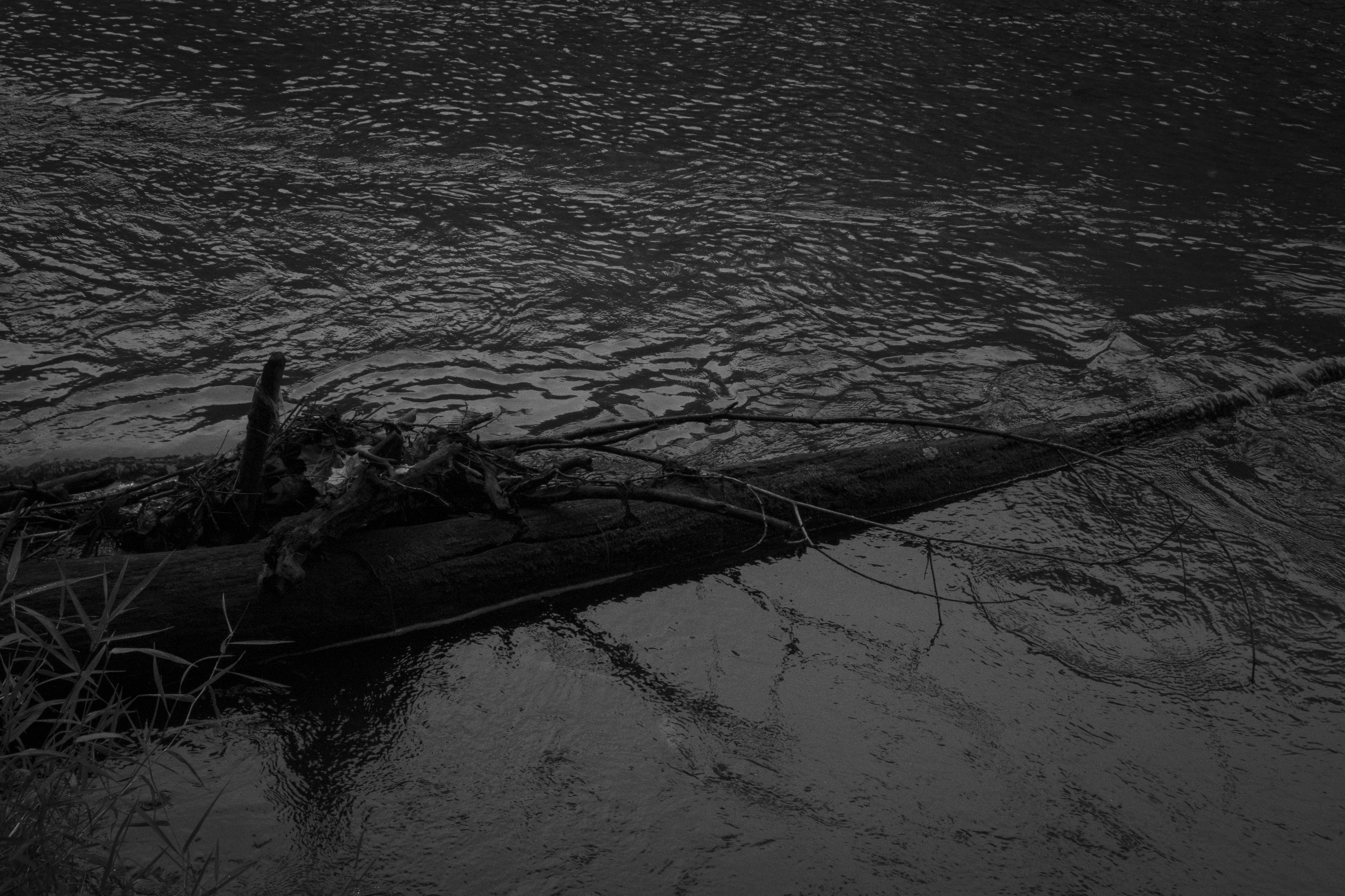 By The Dark Water IV