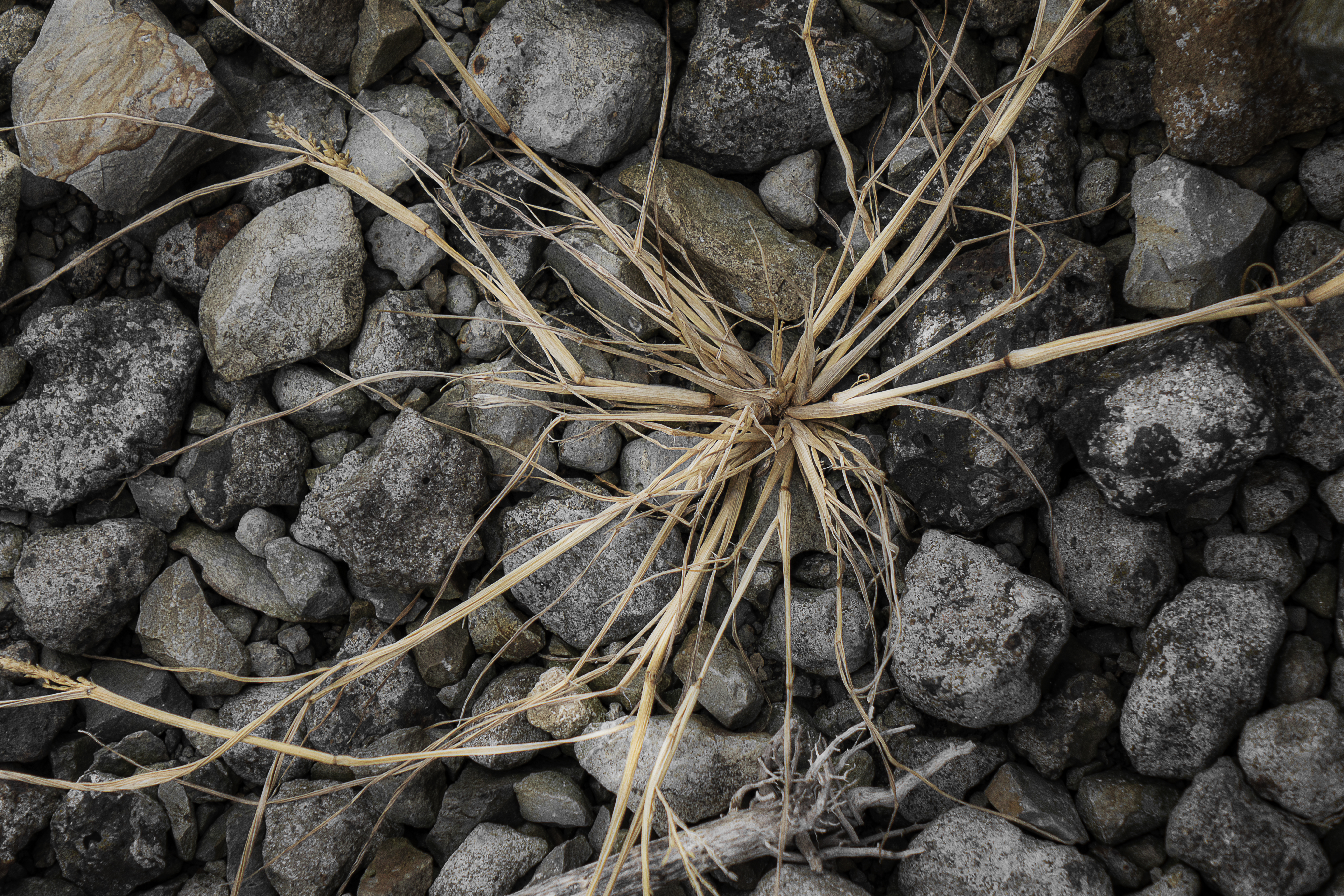 Starburst &amp; Stones