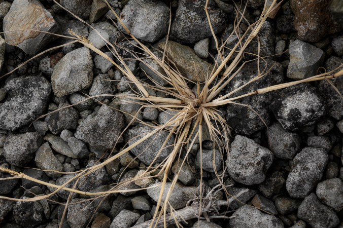 Starburst &amp; Stones