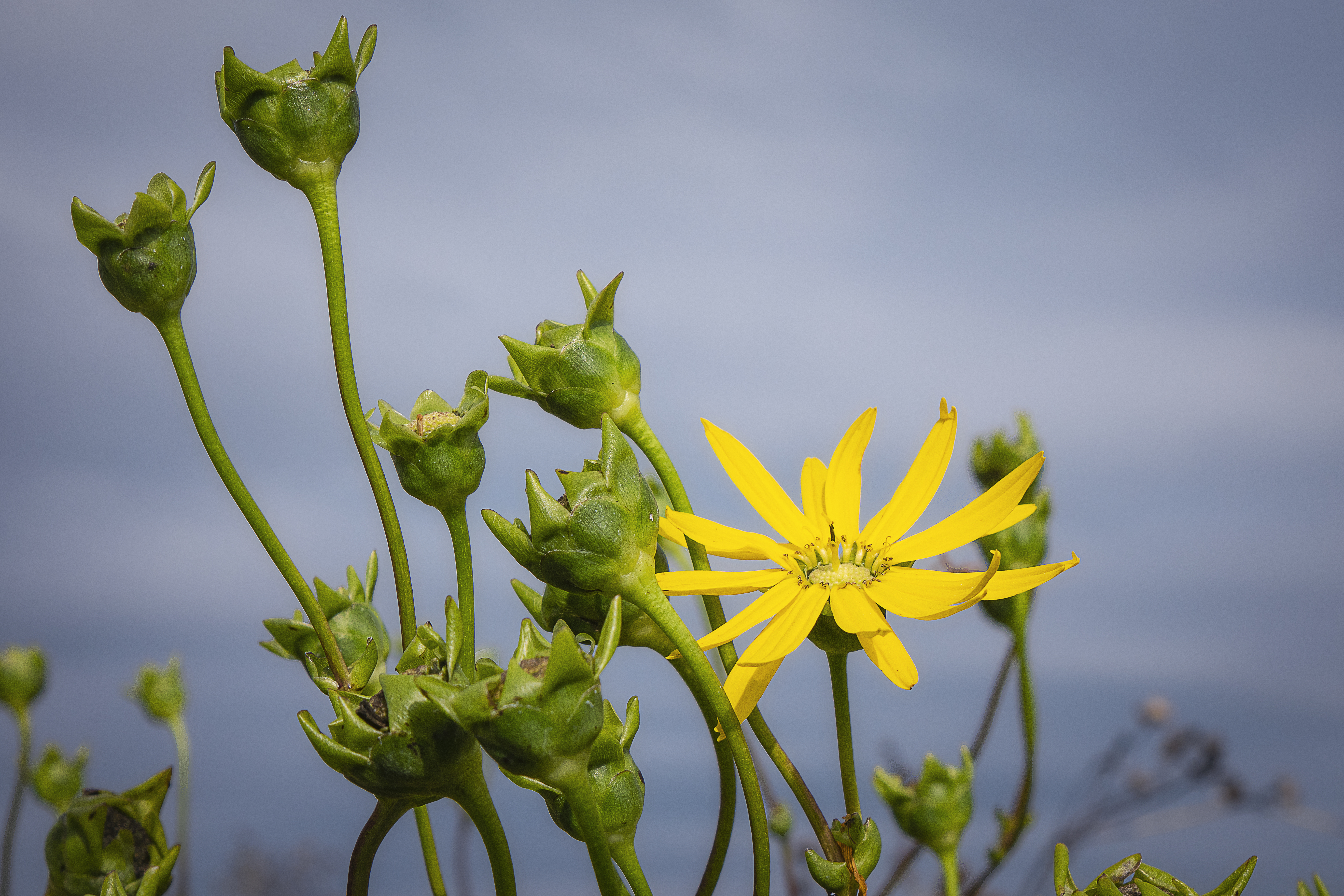 What is, What is to come