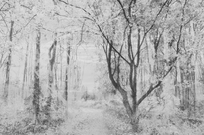 0utu6n Tr04l9 (Autumn Trails) abstract