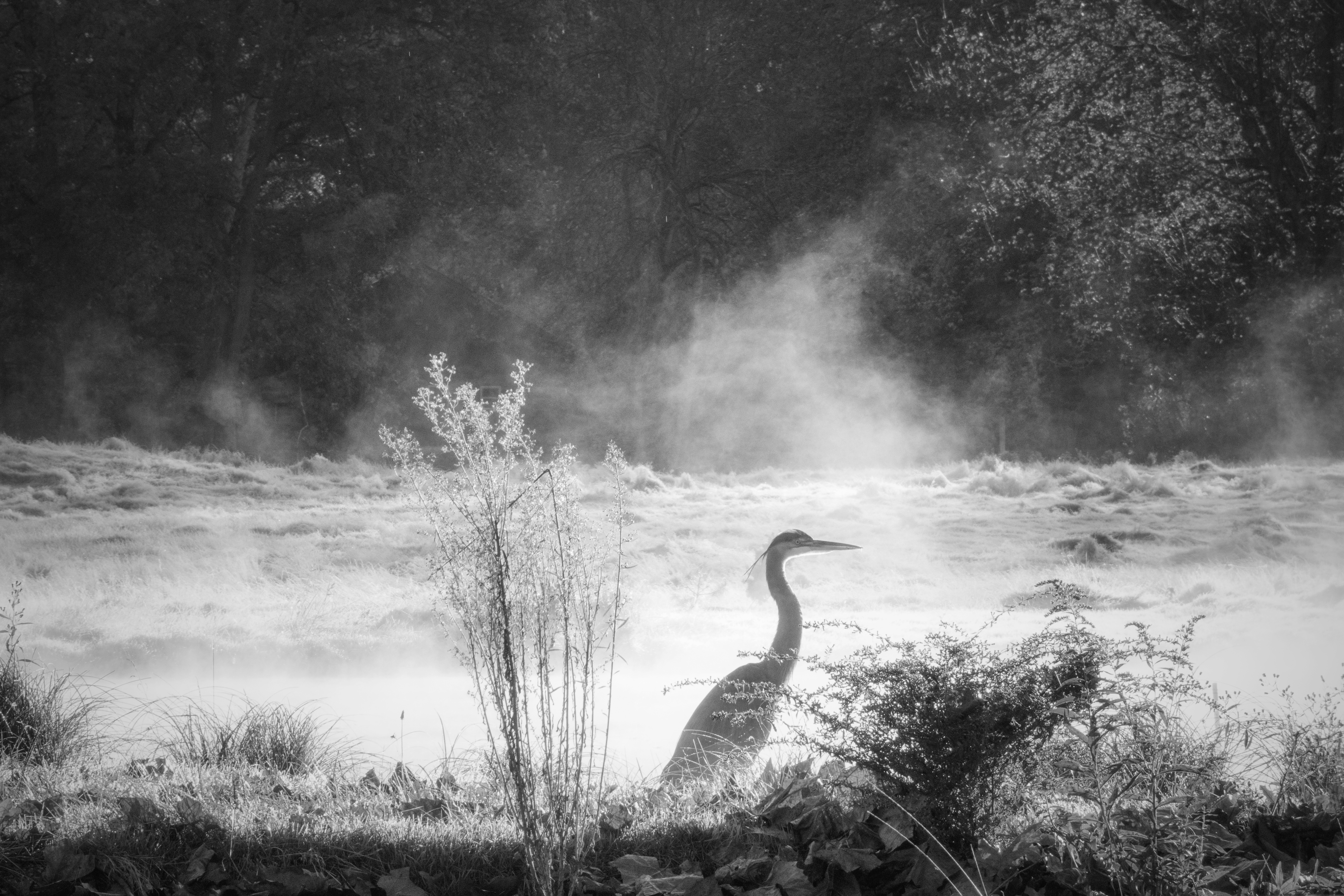 Abandoned &amp; Alone