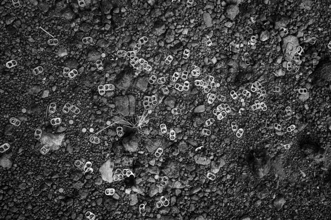 Seeding Our Extinction