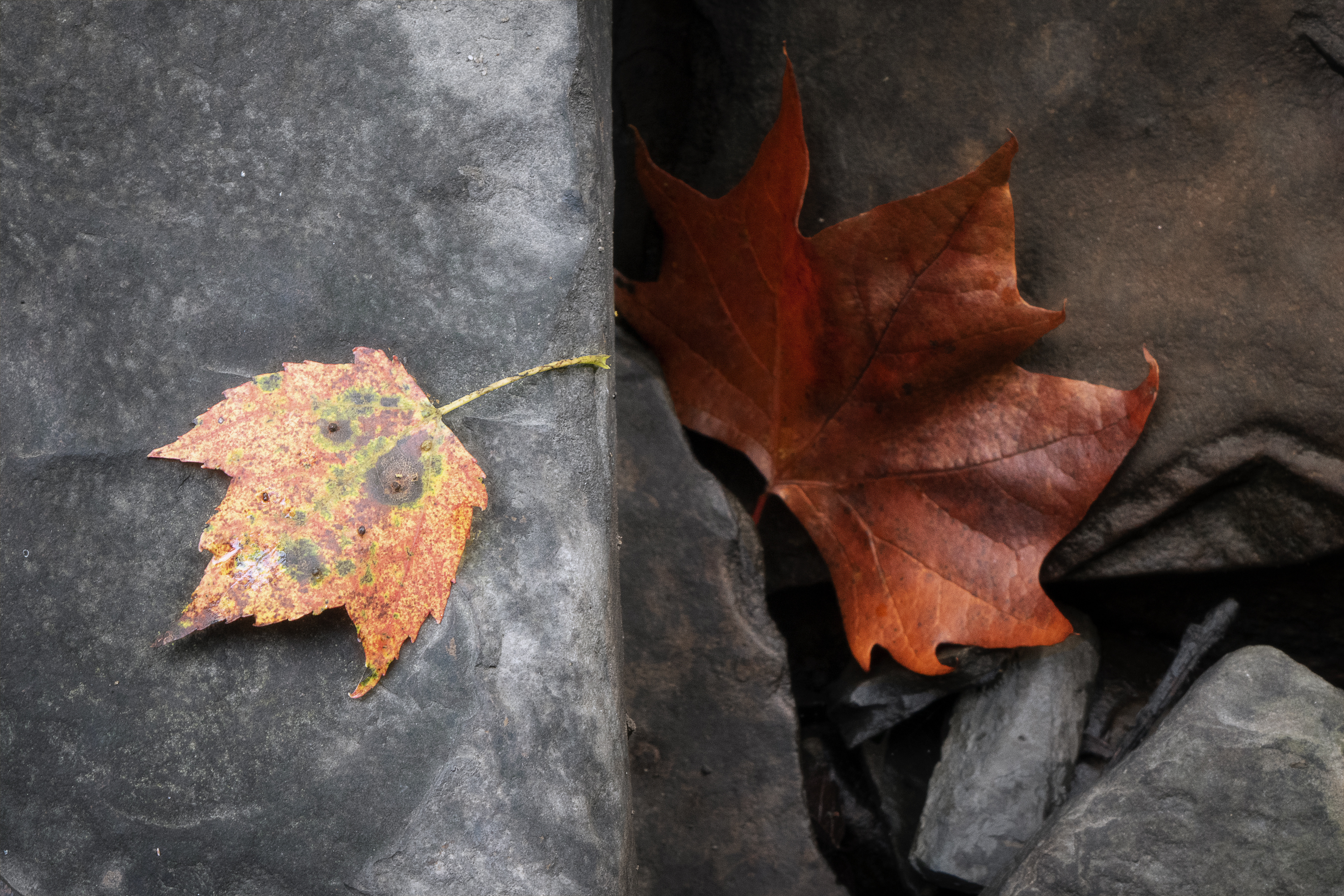 Within The Realm Of Influence