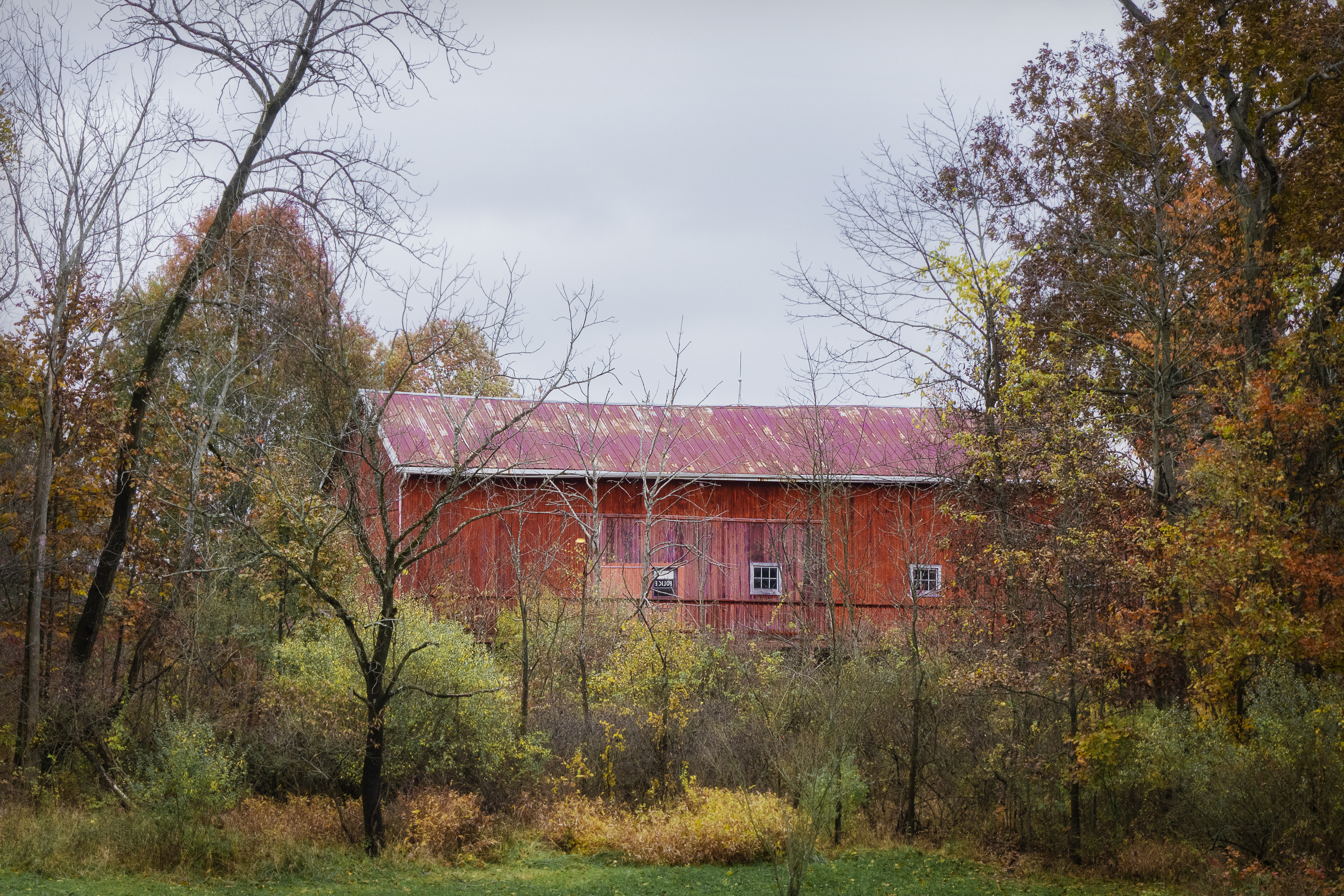 Barn In The Autumn Camouflage