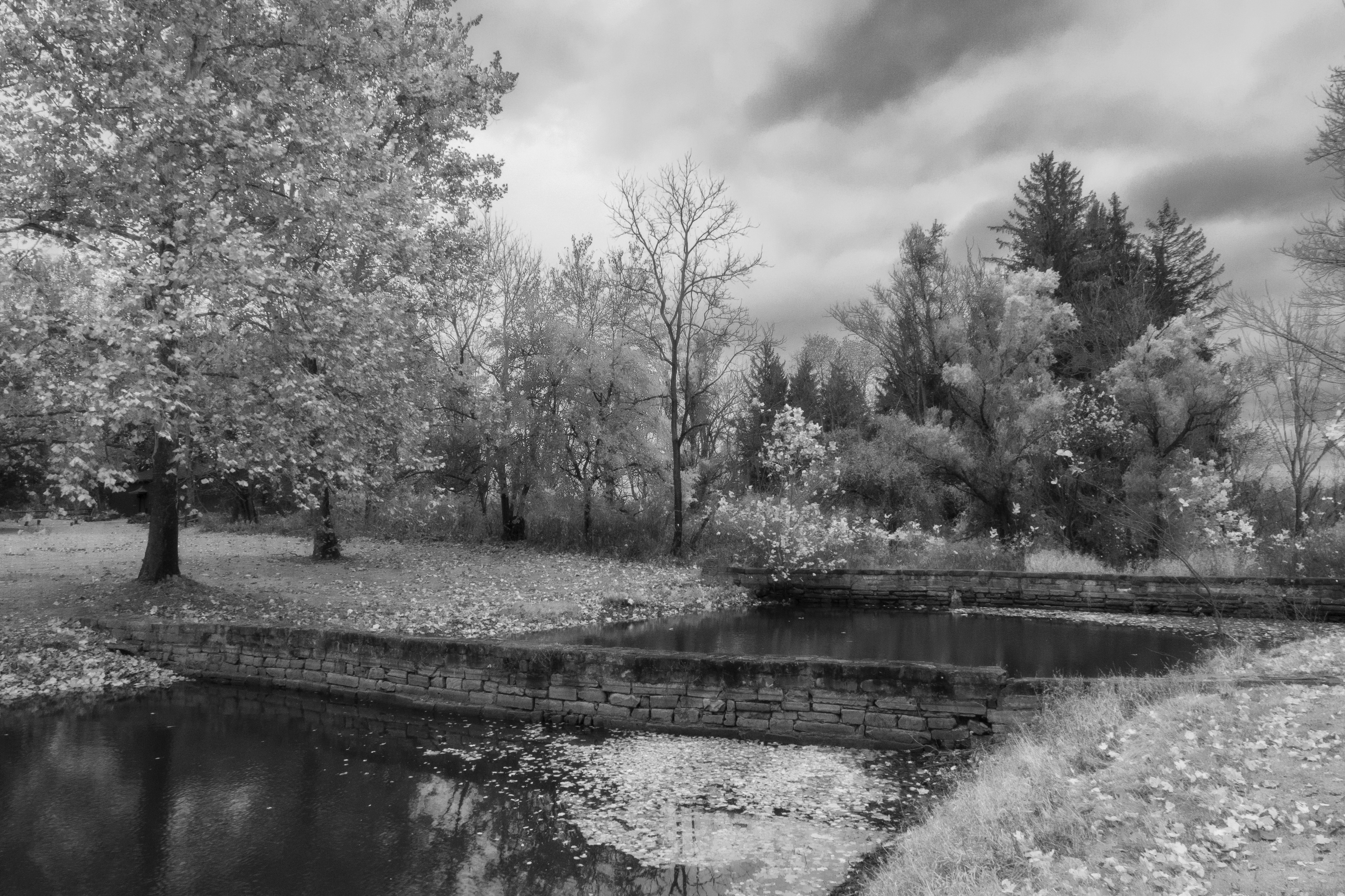 Twin Ponds In Autumn