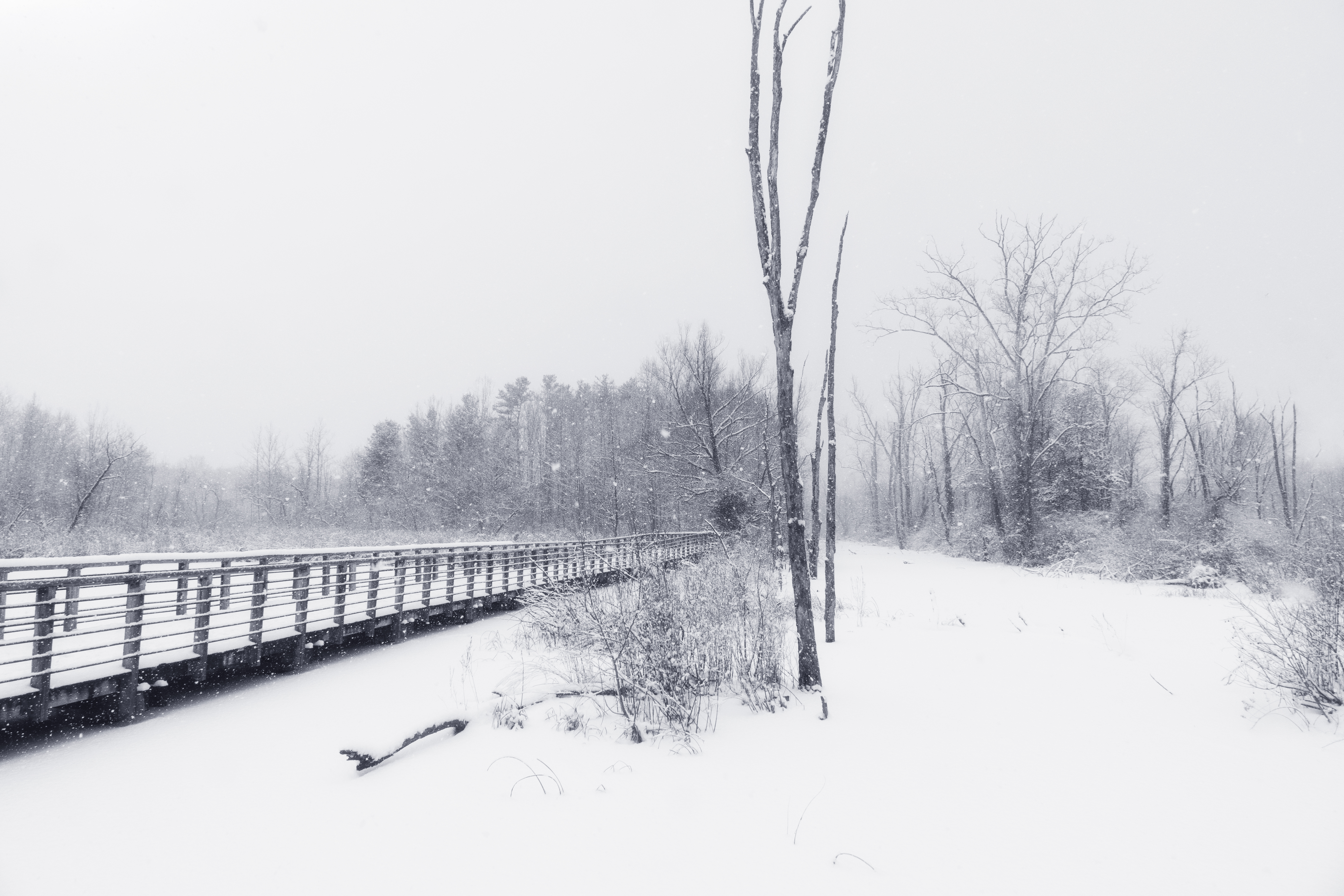 boardwalk in winter