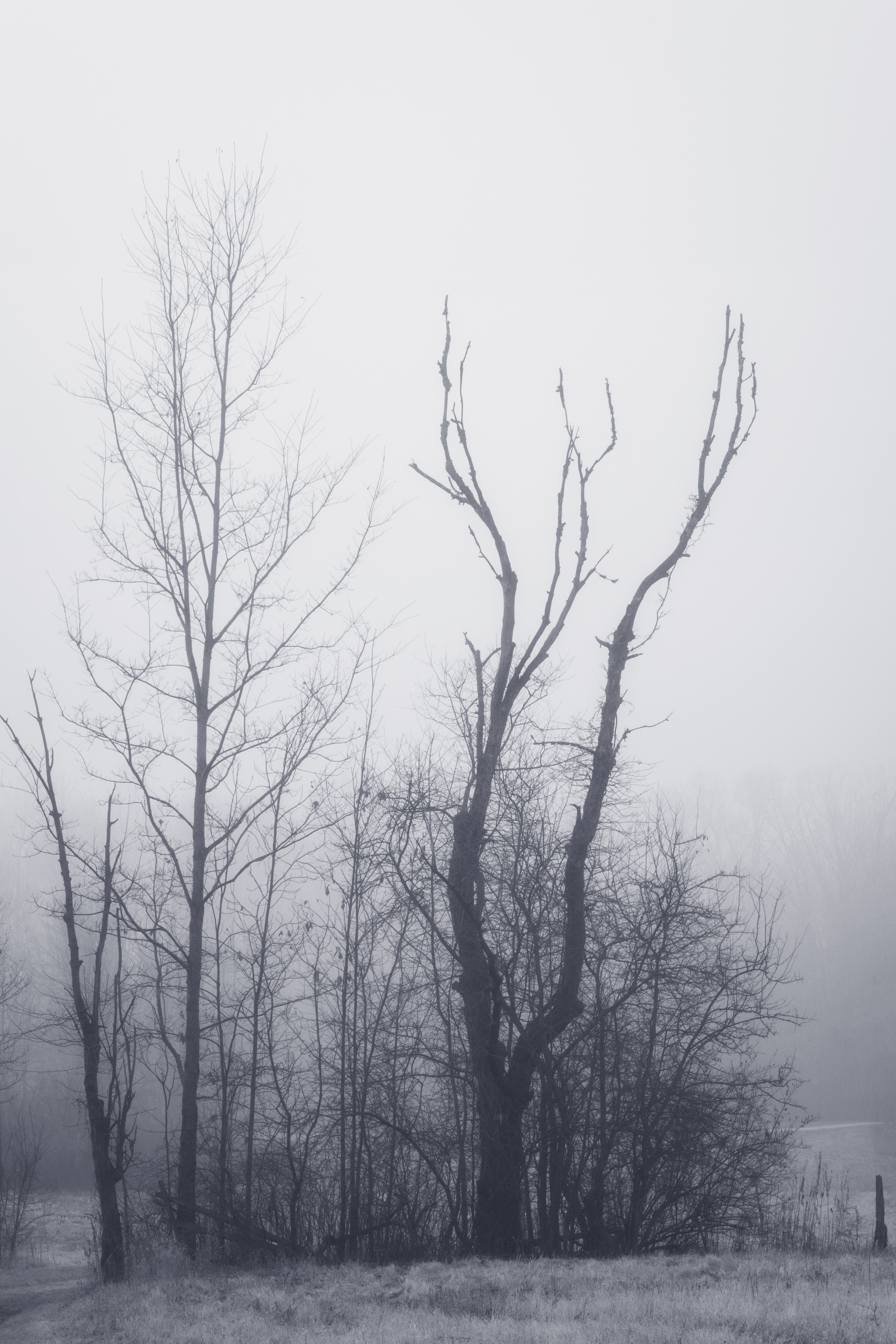 Herne's Hunted Mythical Mist