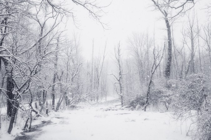 Snow Falls Like Forgiveness