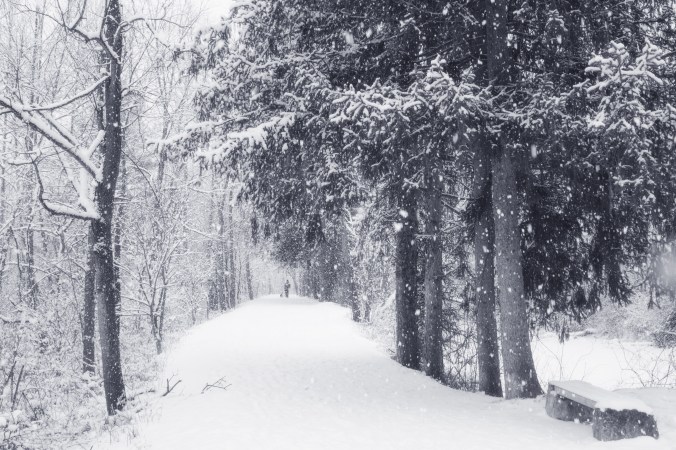 walking in snowdrops