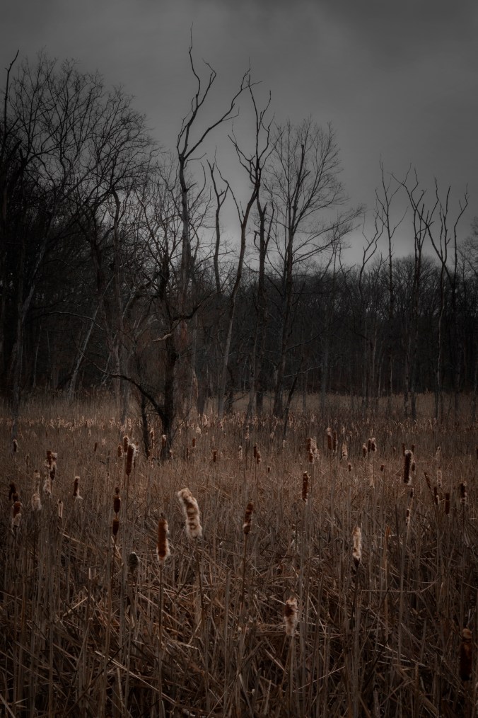 Arriving Somewhere But Not Here