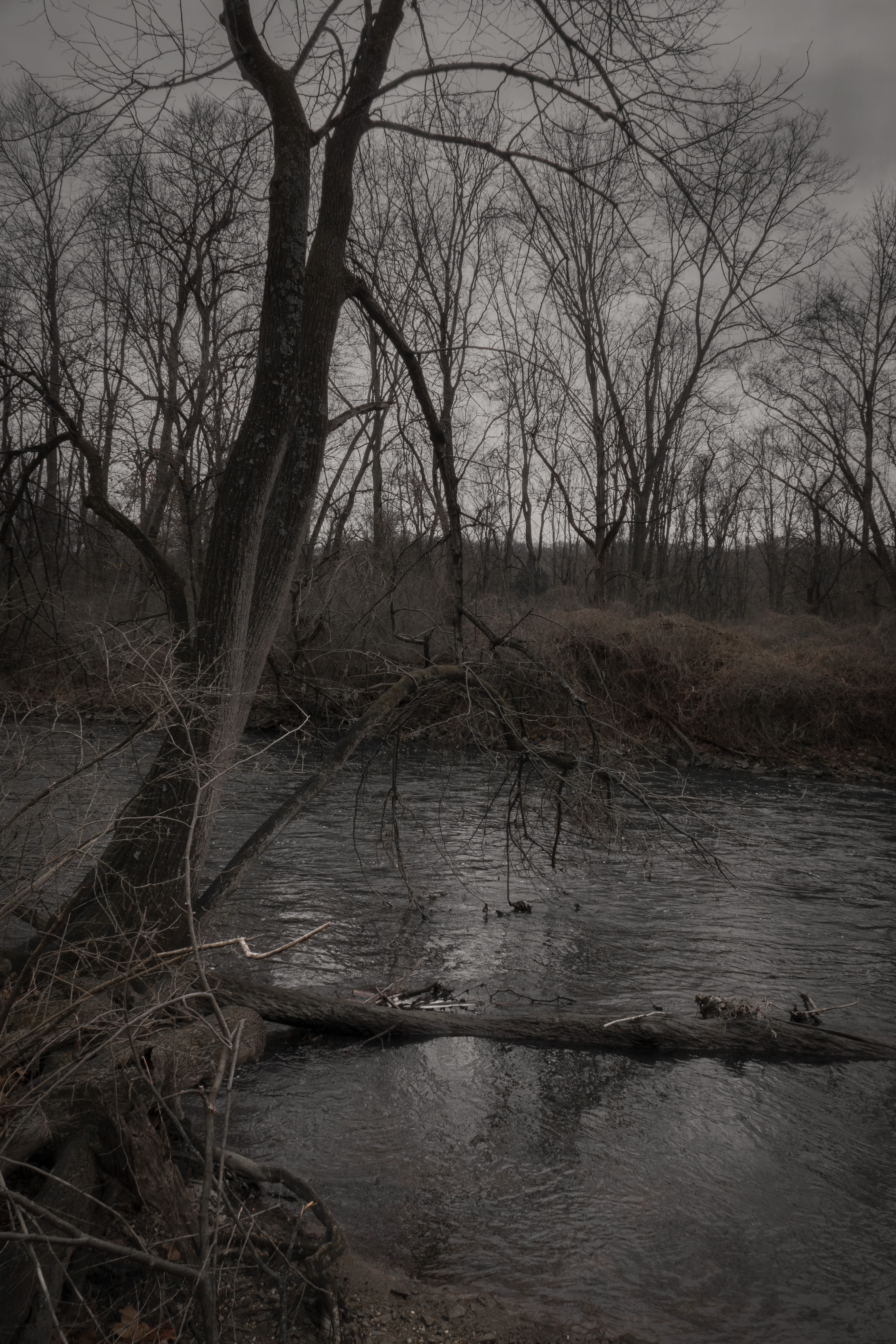 Glory and consequence