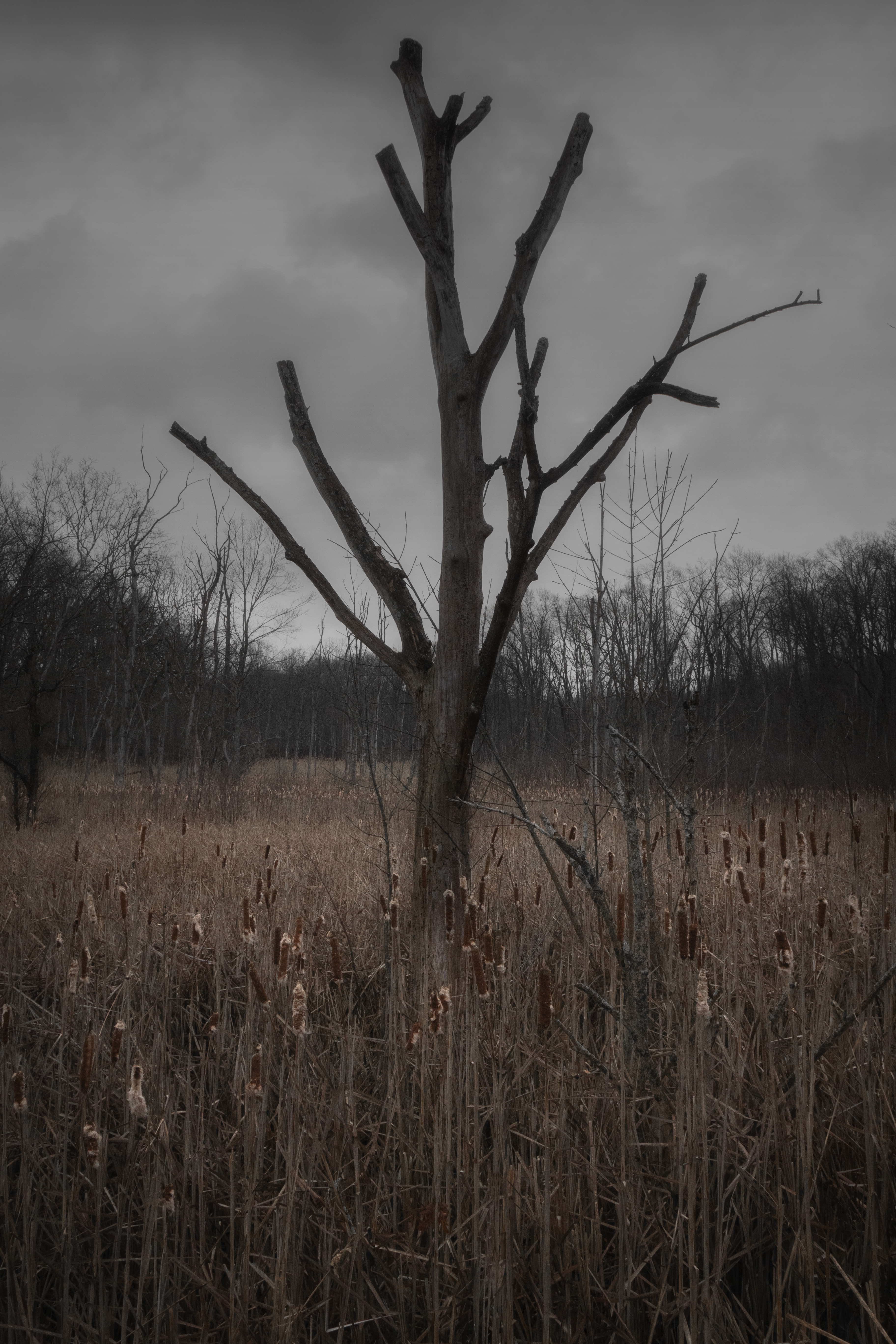 Lovers In A Dangerous Time