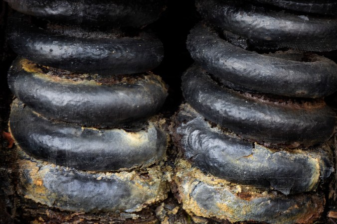 Rust Springs Eternal