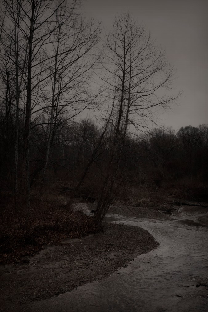 Who Wants To Live Forever