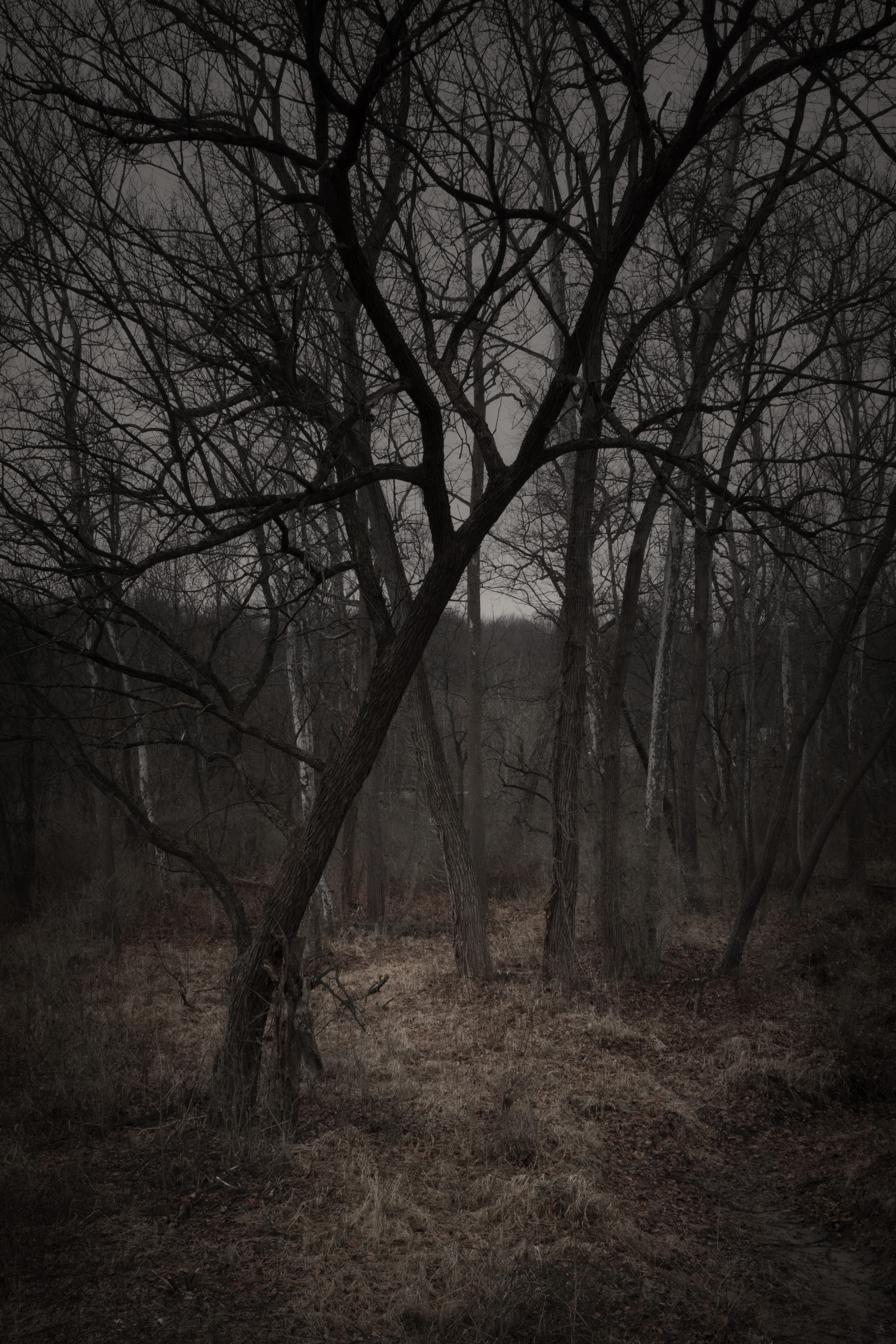 You're the only good thing in my life